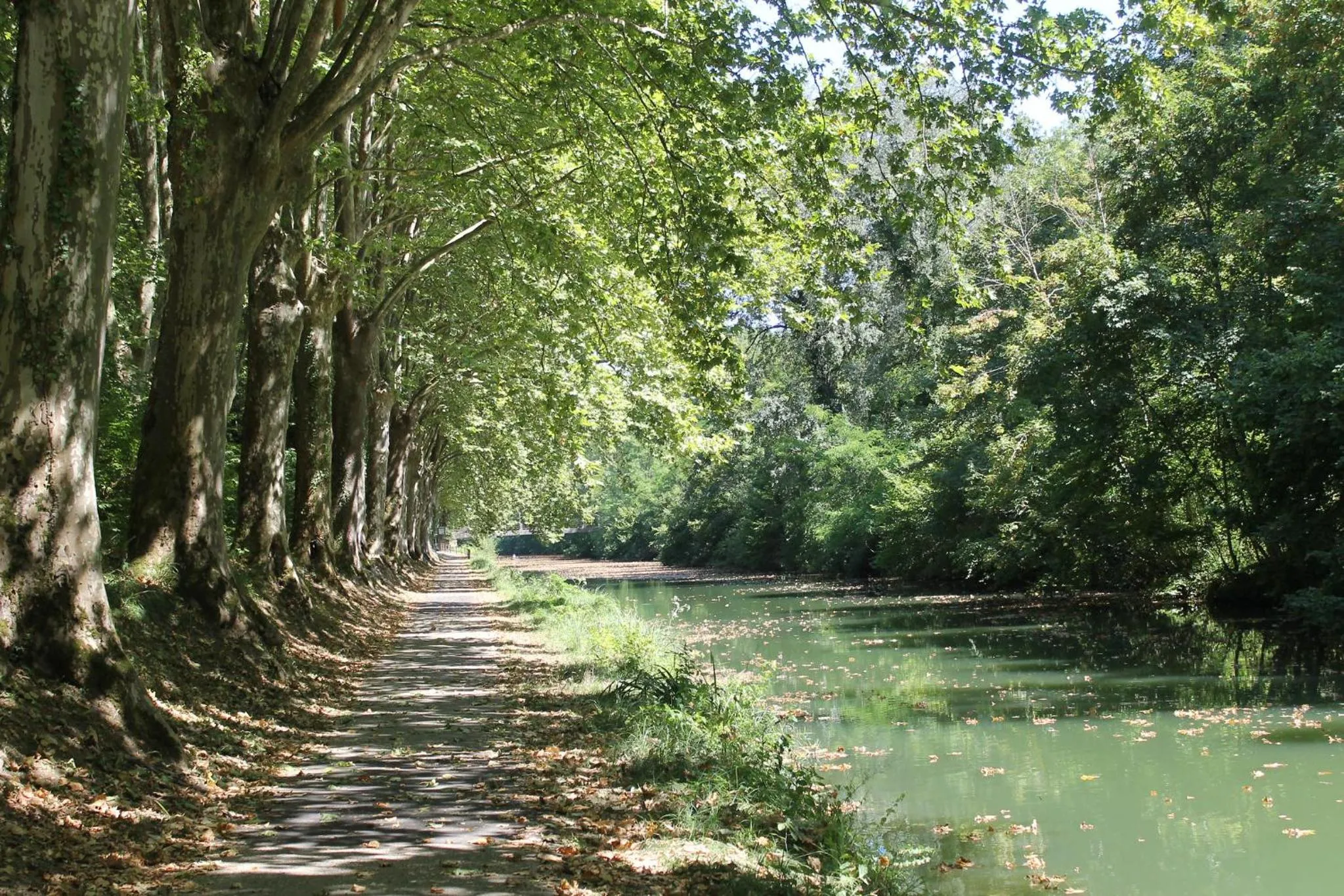 Spring in Atena Bordeaux Sud Est Créon - Vélo Friendly
