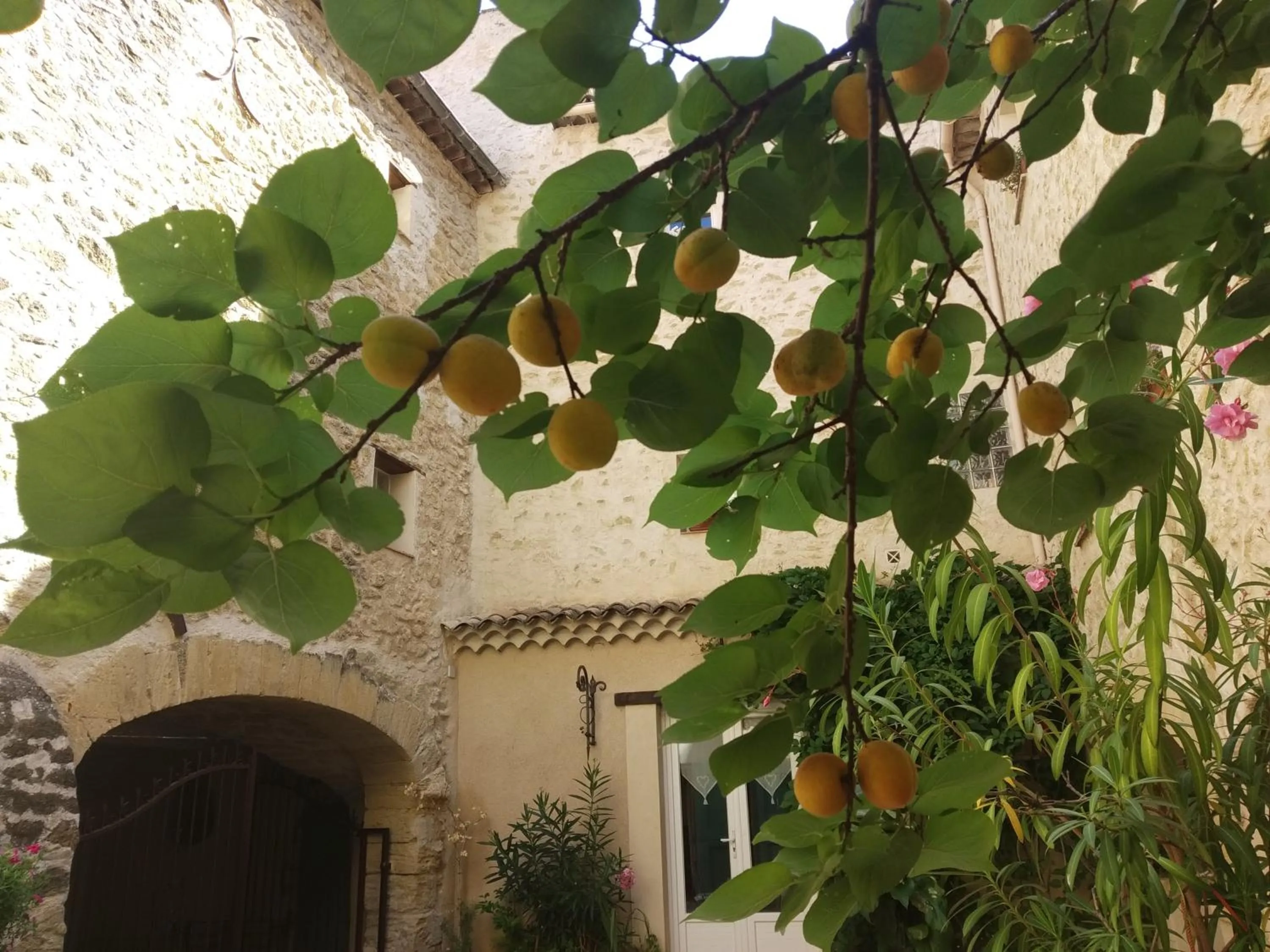 Garden view in Le Térébinthe B&B