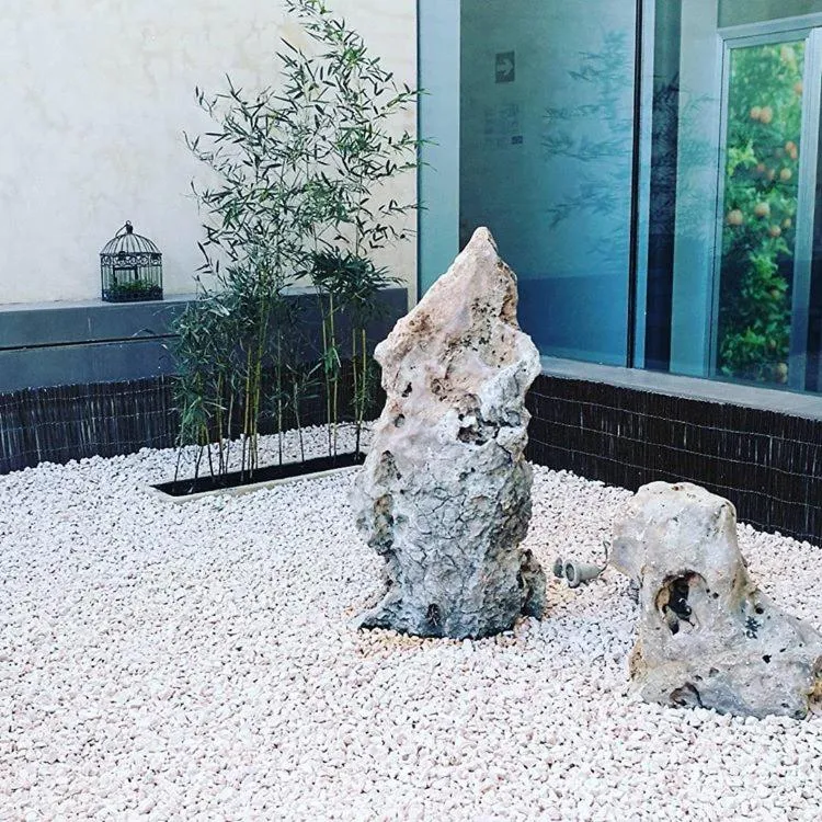 Patio in Hotel-Restaurante Casa Blava Alzira