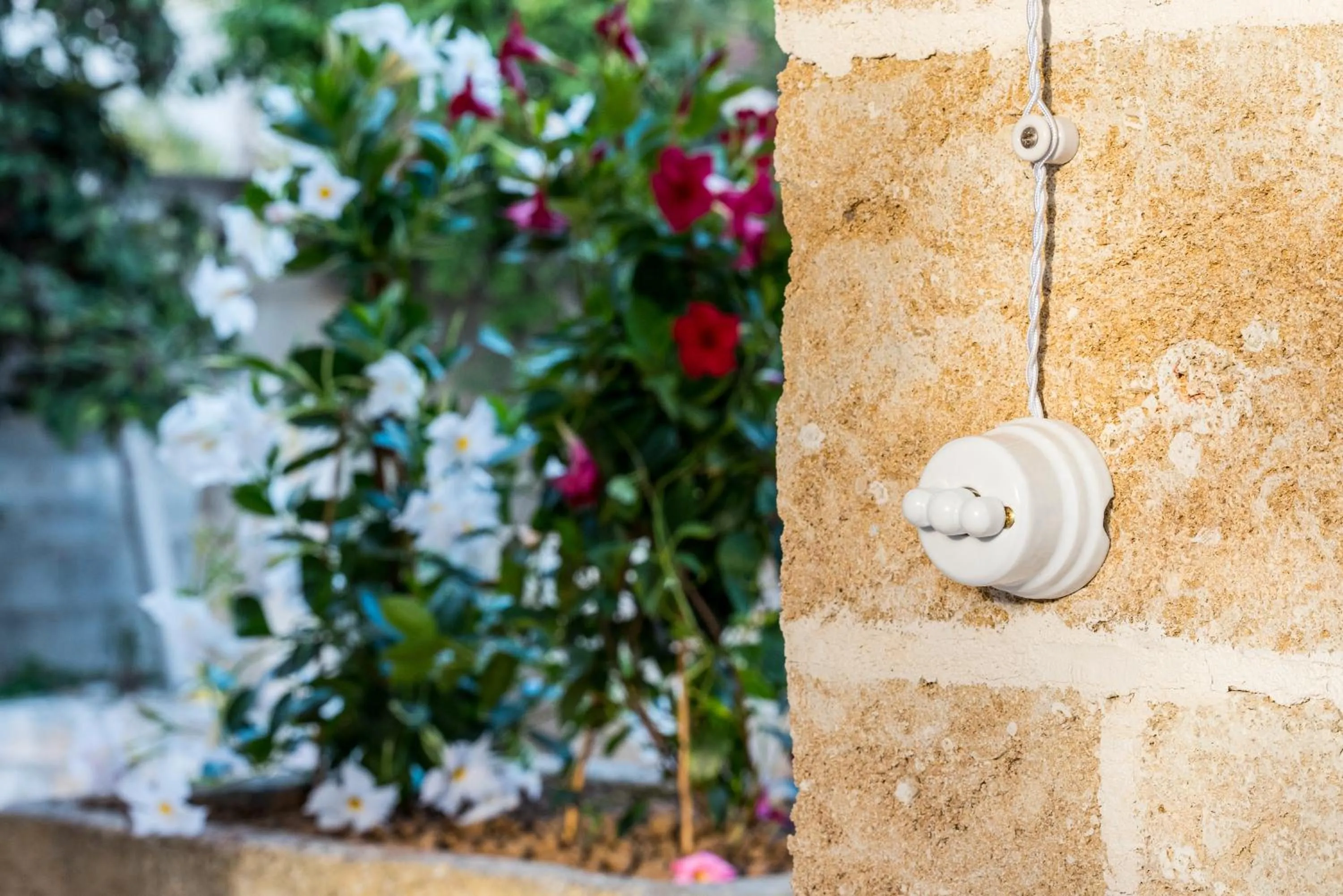 Garden in santa potenza