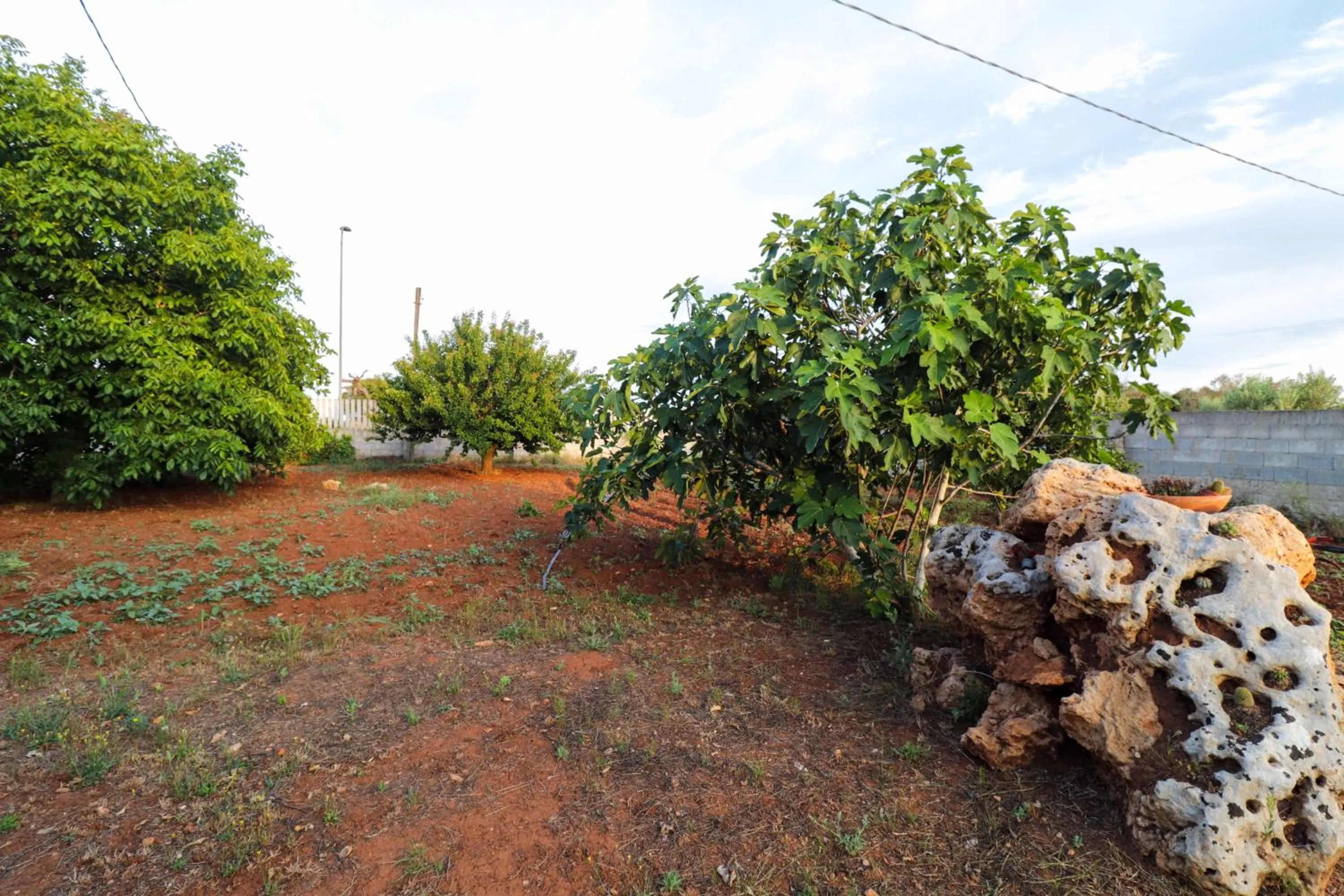 Garden in santa potenza