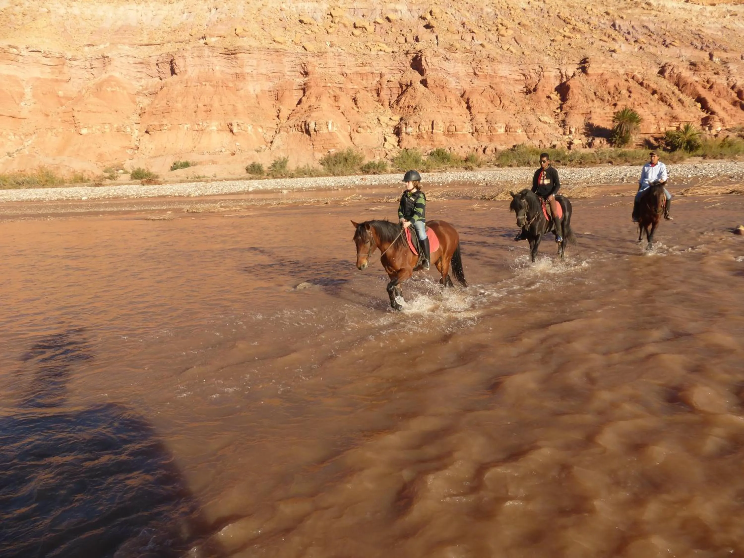 Horse-riding in Maison d'Hôtes Nouflla