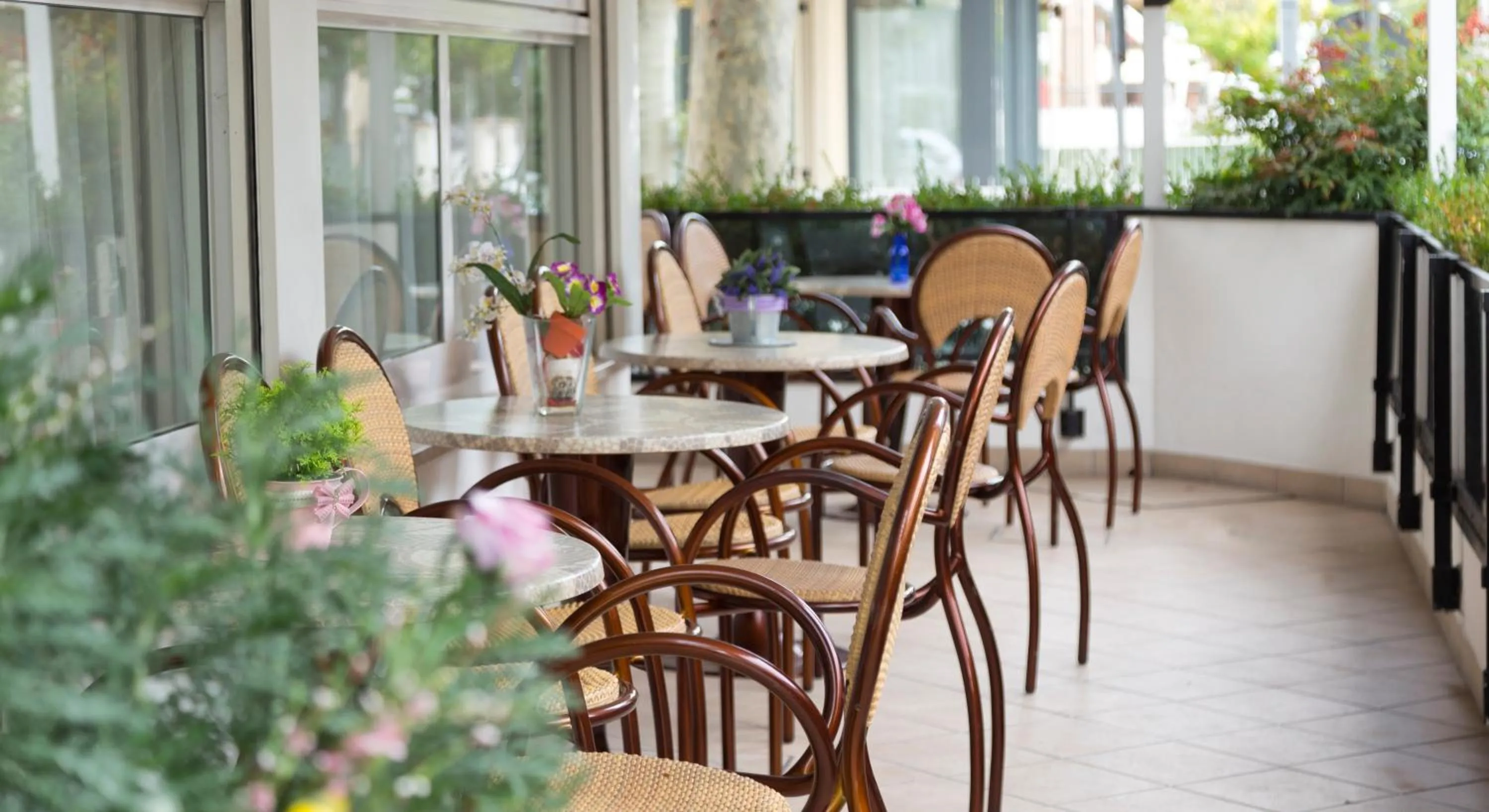 Balcony/Terrace in Hotel Roby