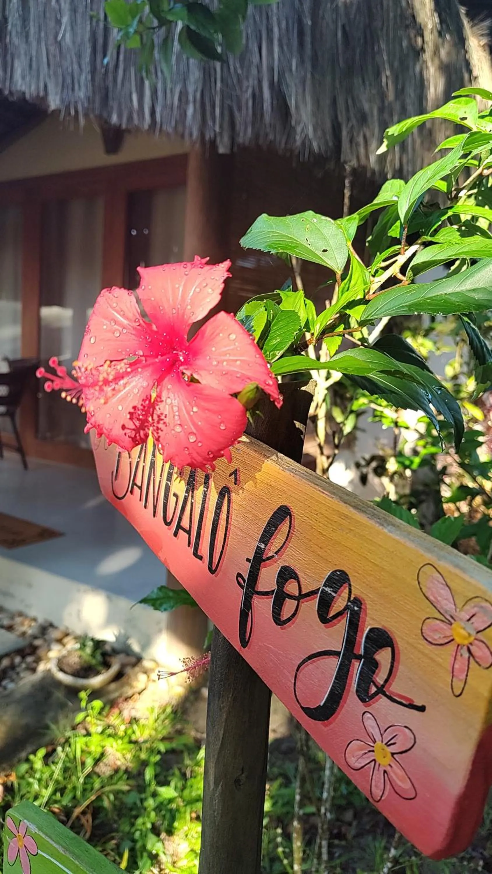 4 Elementos Guest House