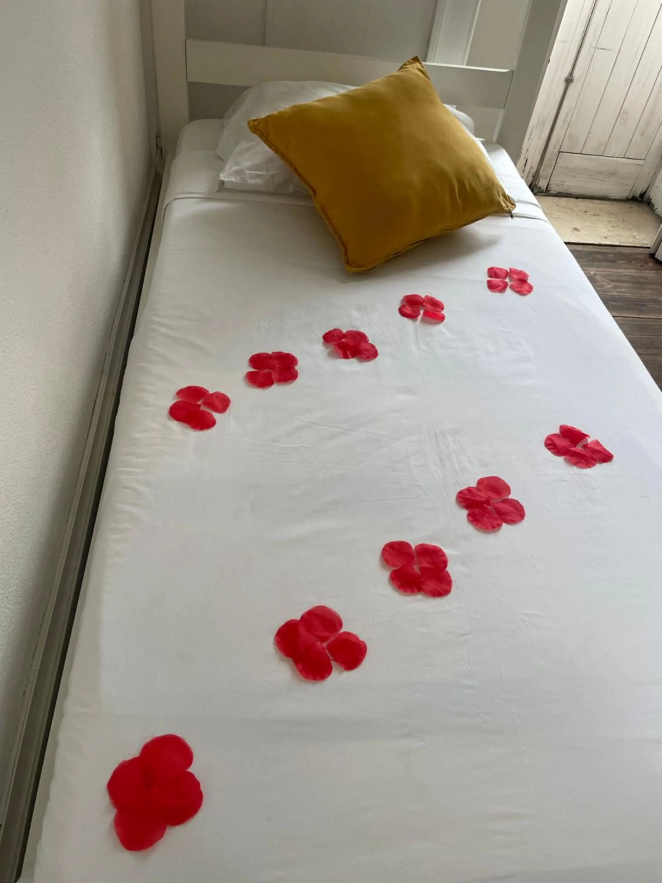 Bed in WW Hostel & Suites