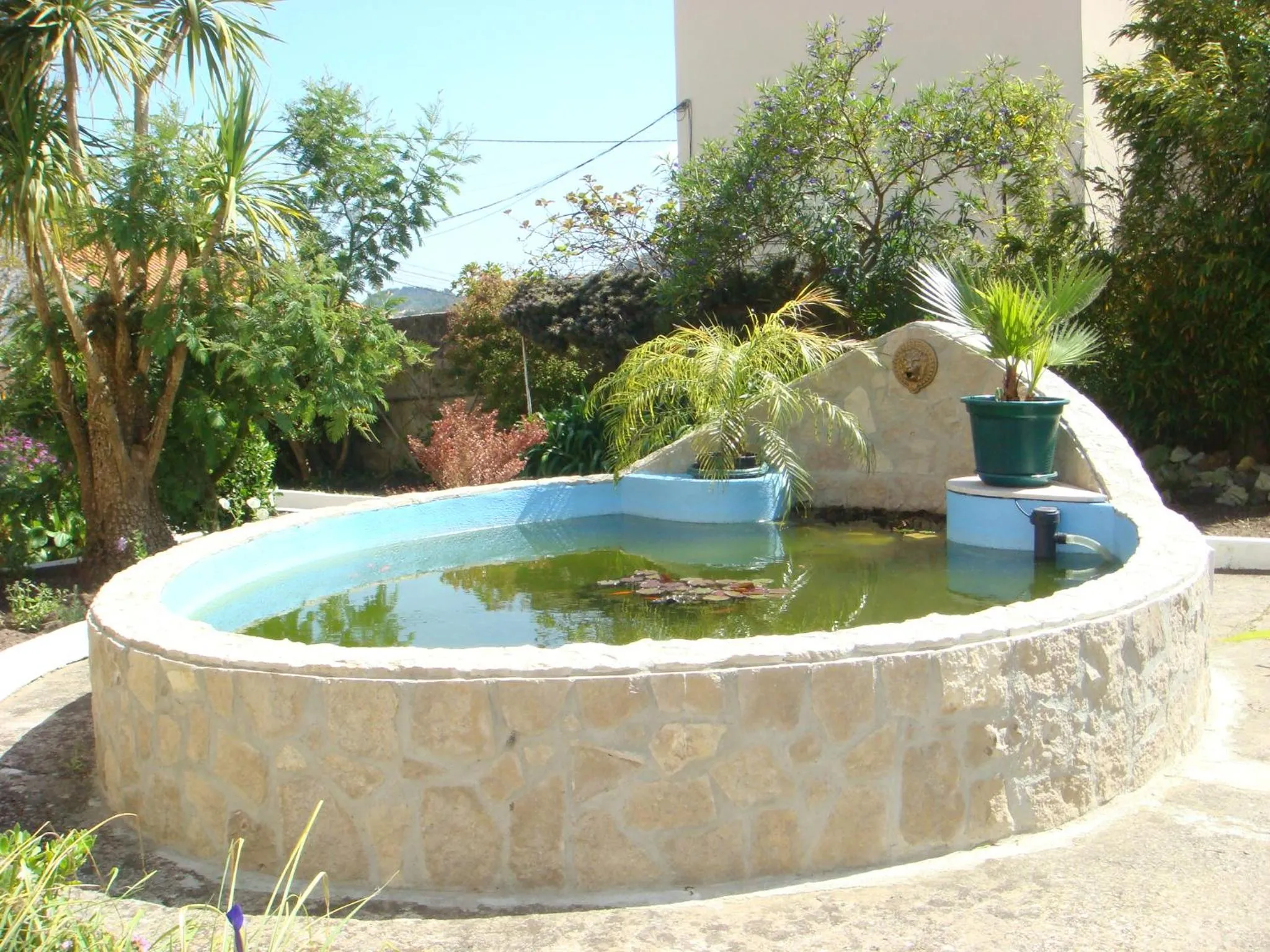 Lake view in Casa De Hospedes Flor Do Jardim