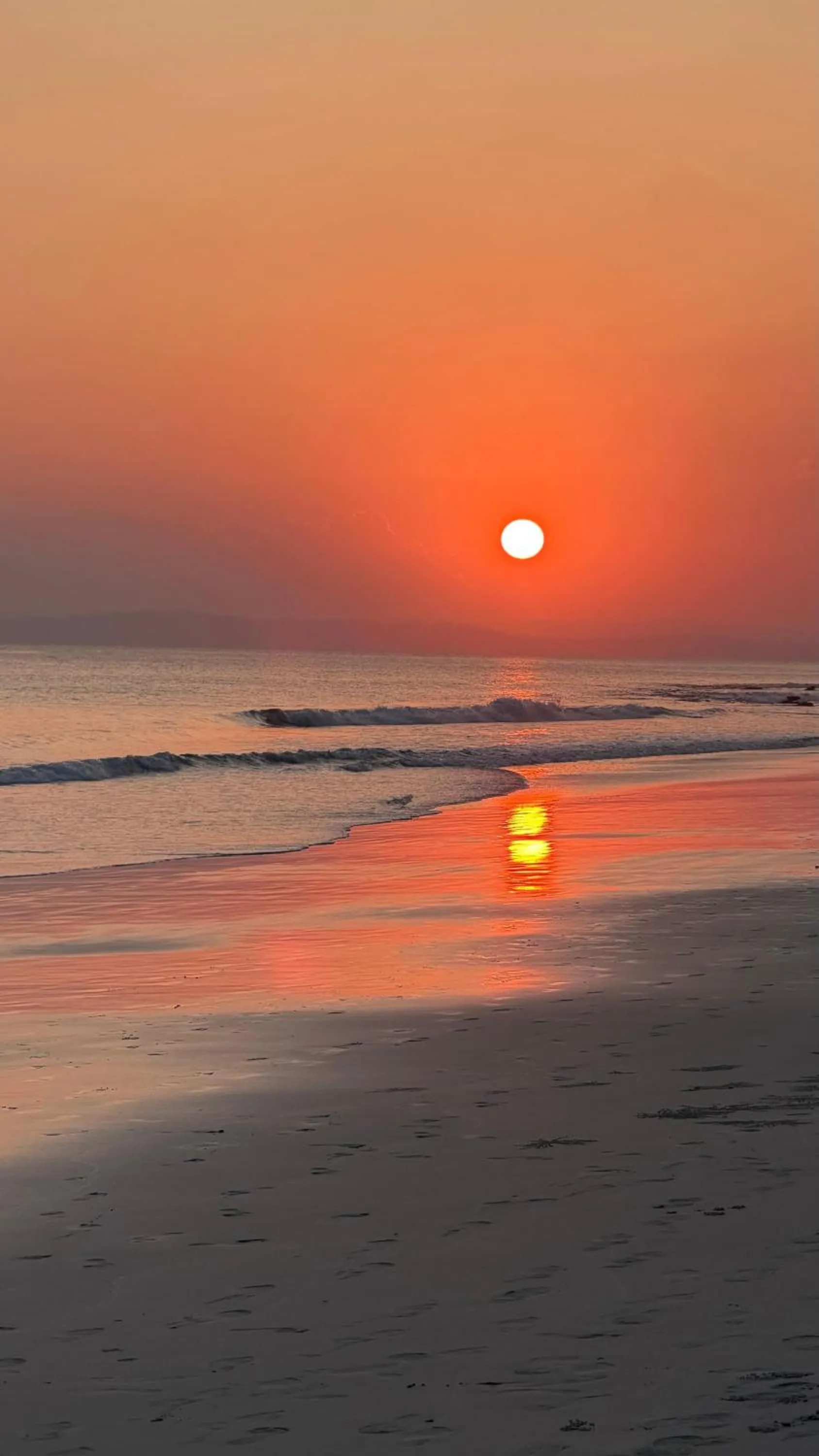 Beach in Havelock Farms Resort