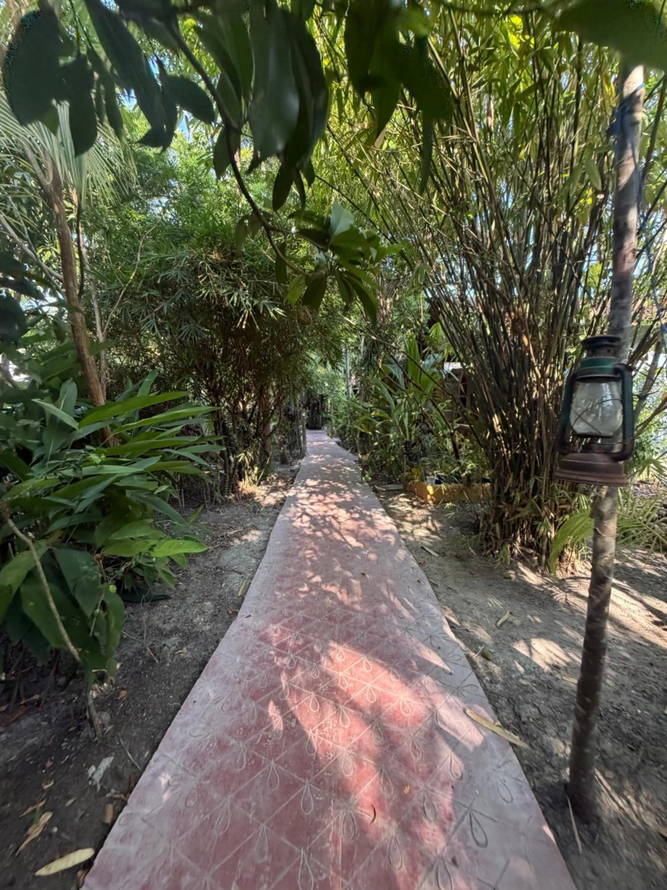 Natural landscape in Havelock Farms Resort