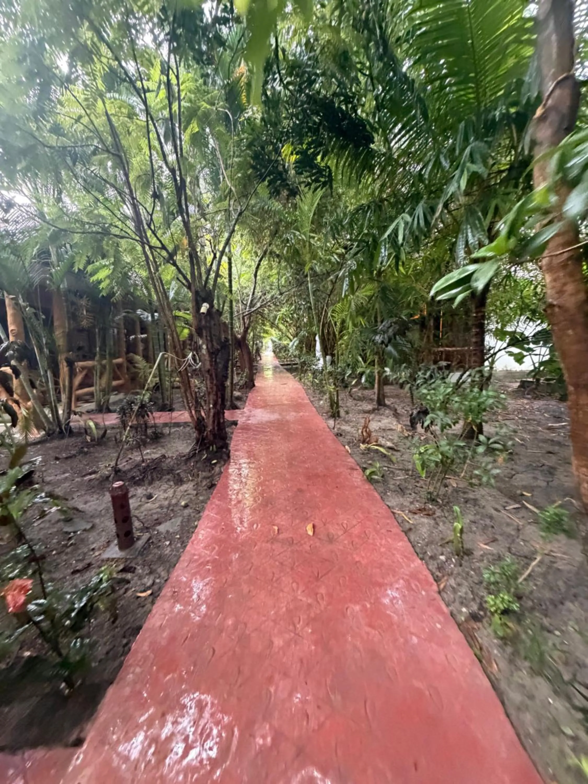 Garden in Havelock Farms Resort
