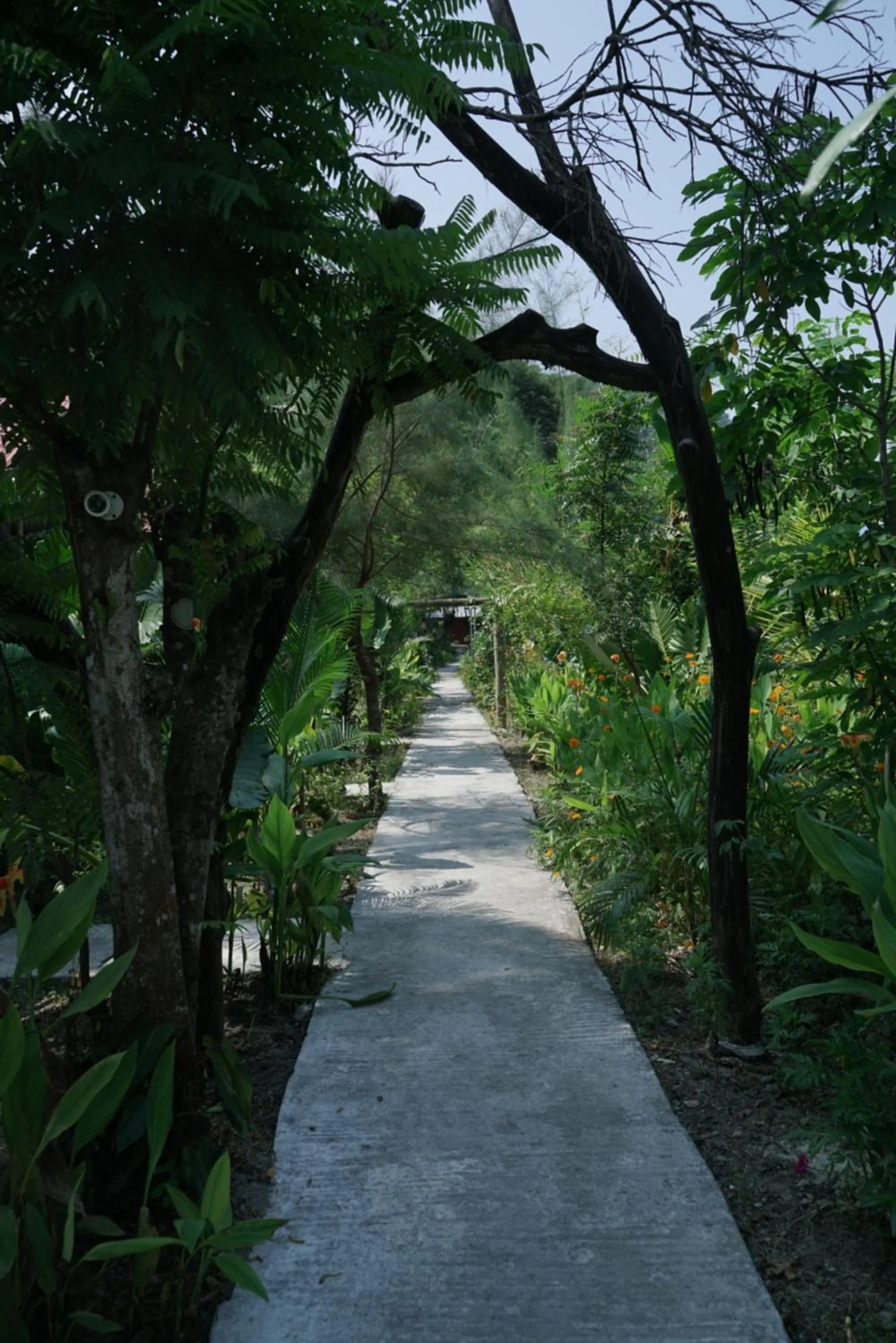 Spring in Havelock Farms Resort