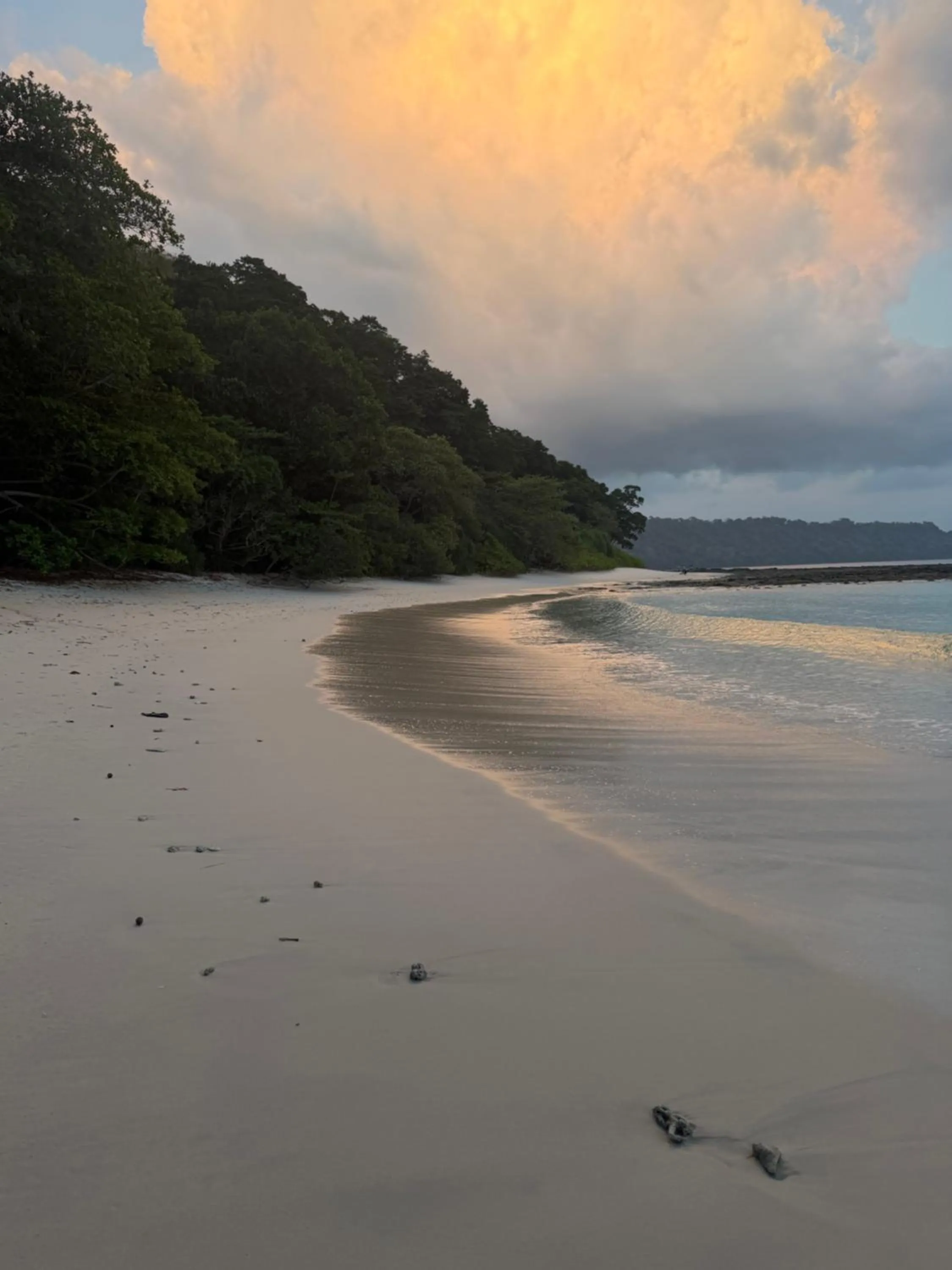 Beach in Havelock Farms Resort