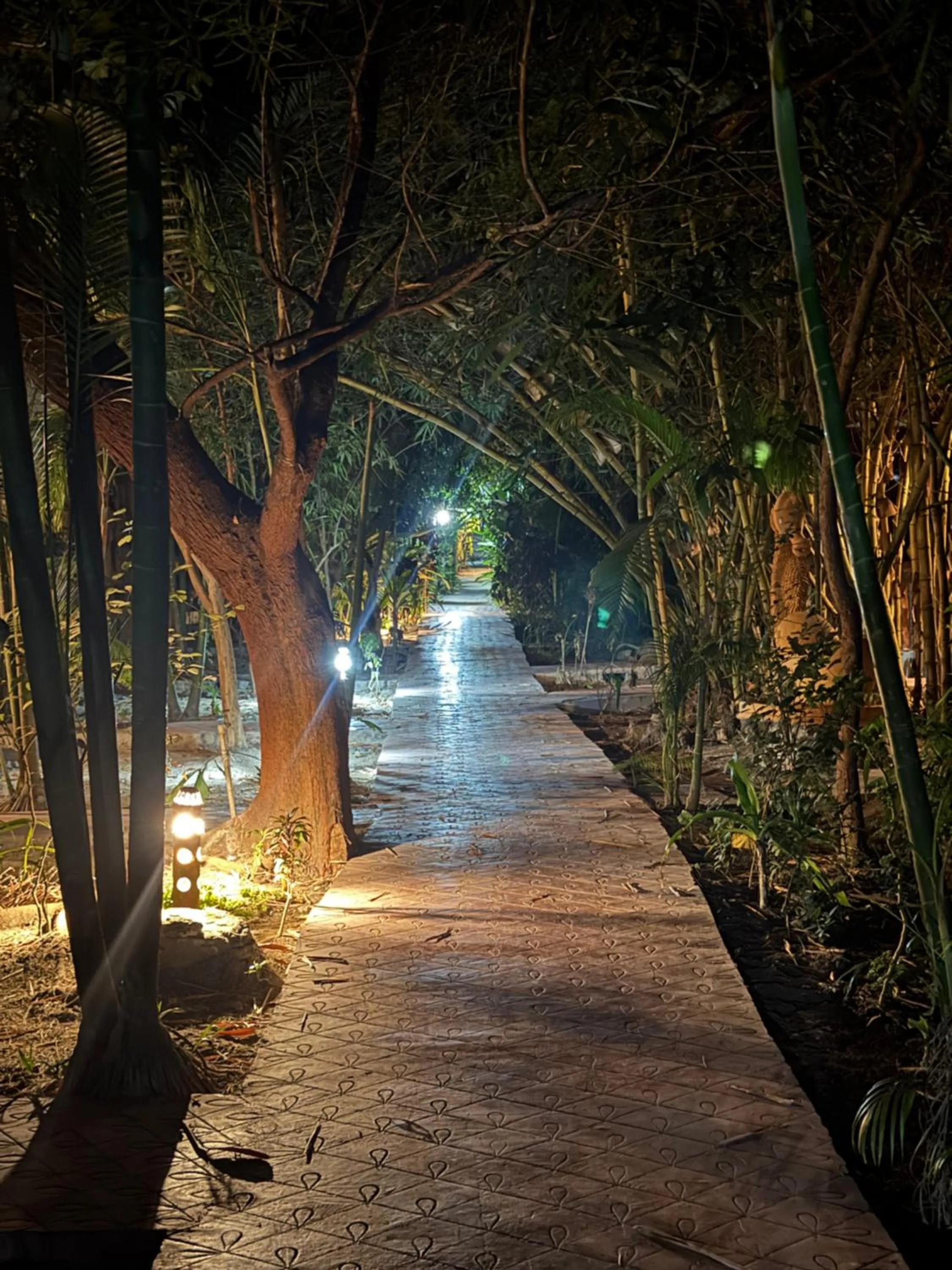 Garden view in Havelock Farms Resort