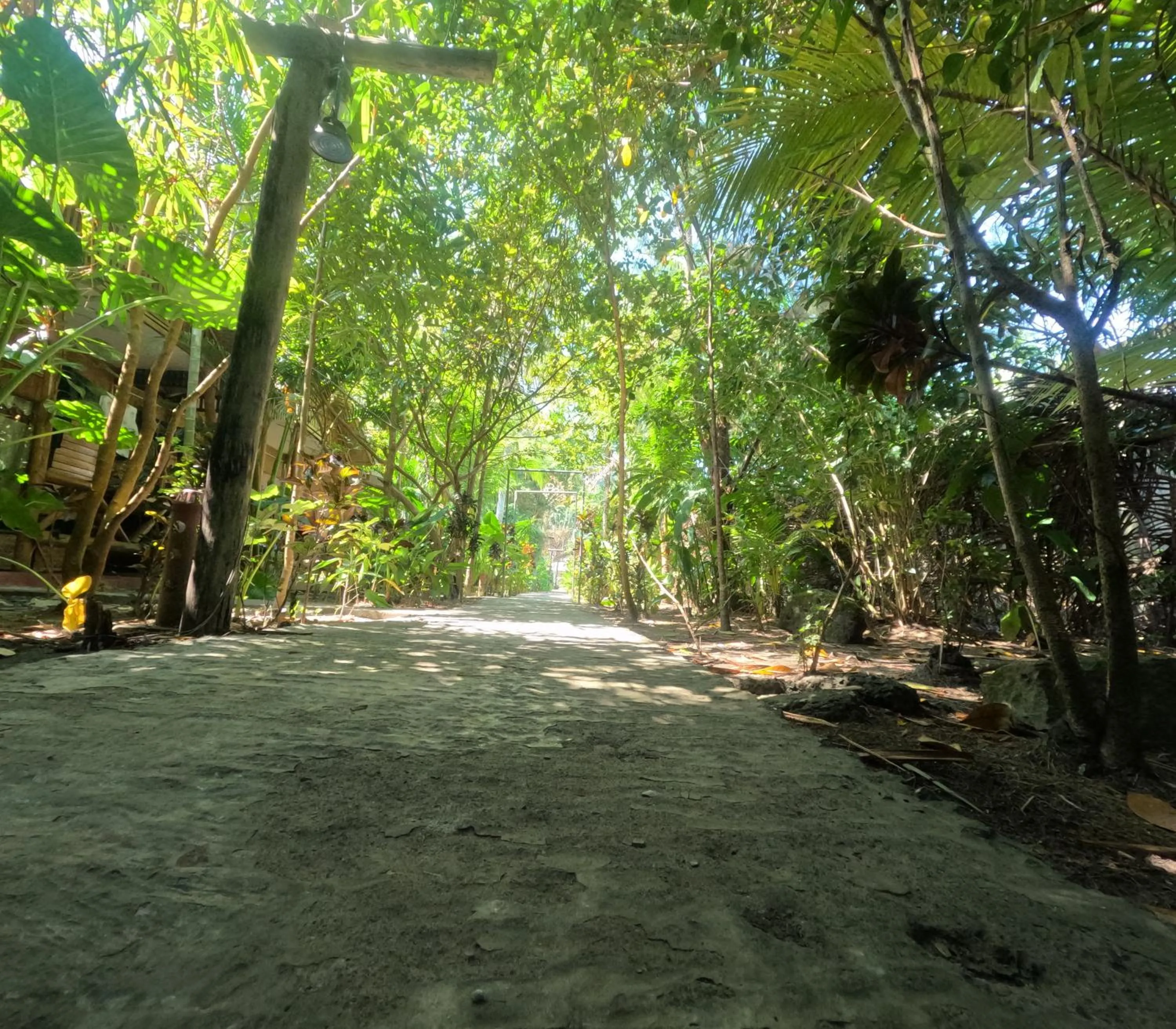 Day in Havelock Farms Resort