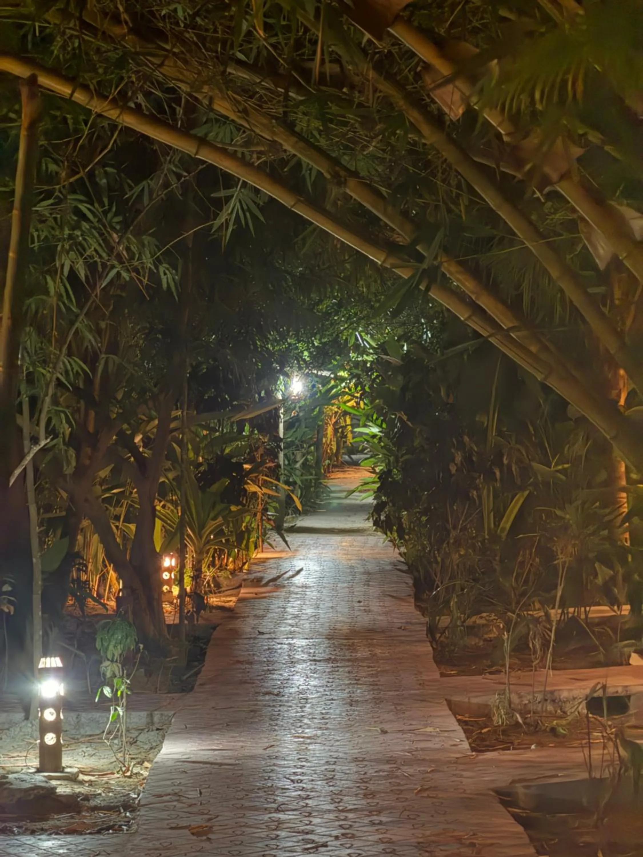 Garden view in Havelock Farms Resort