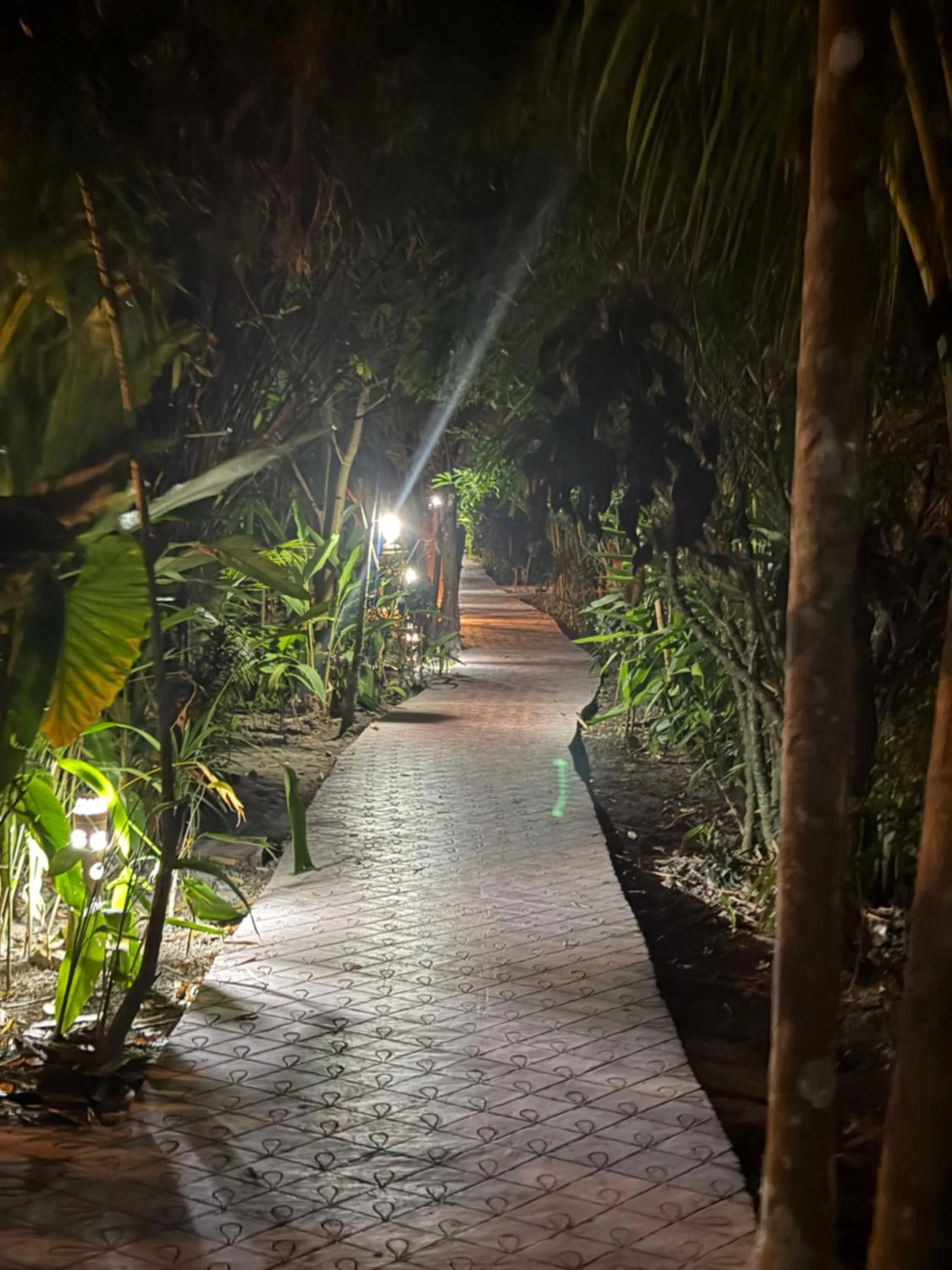 Garden view in Havelock Farms Resort
