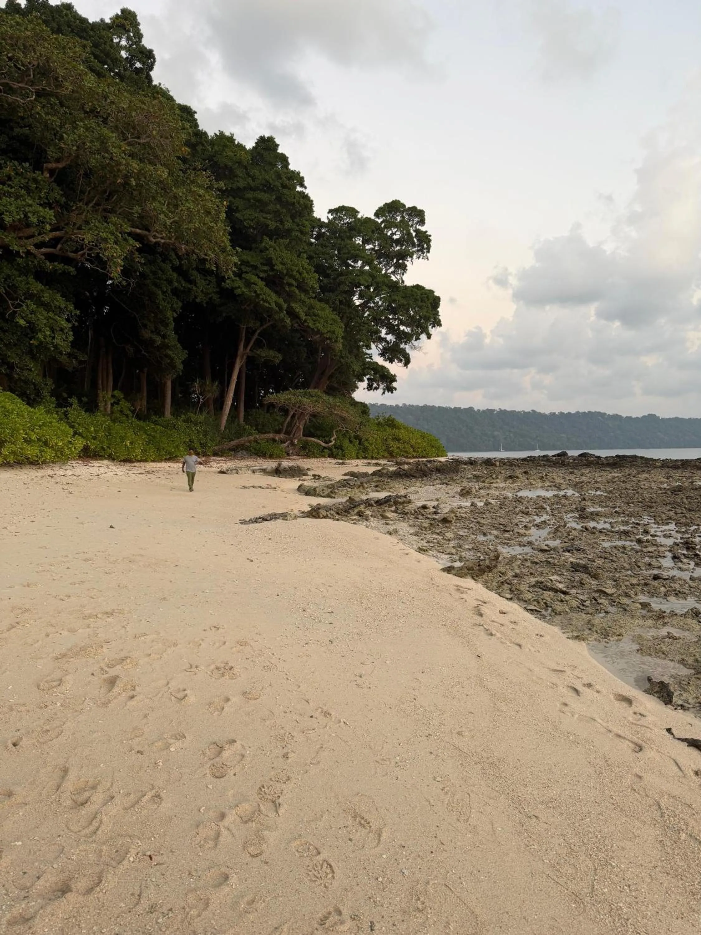 Beach in Havelock Farms Resort