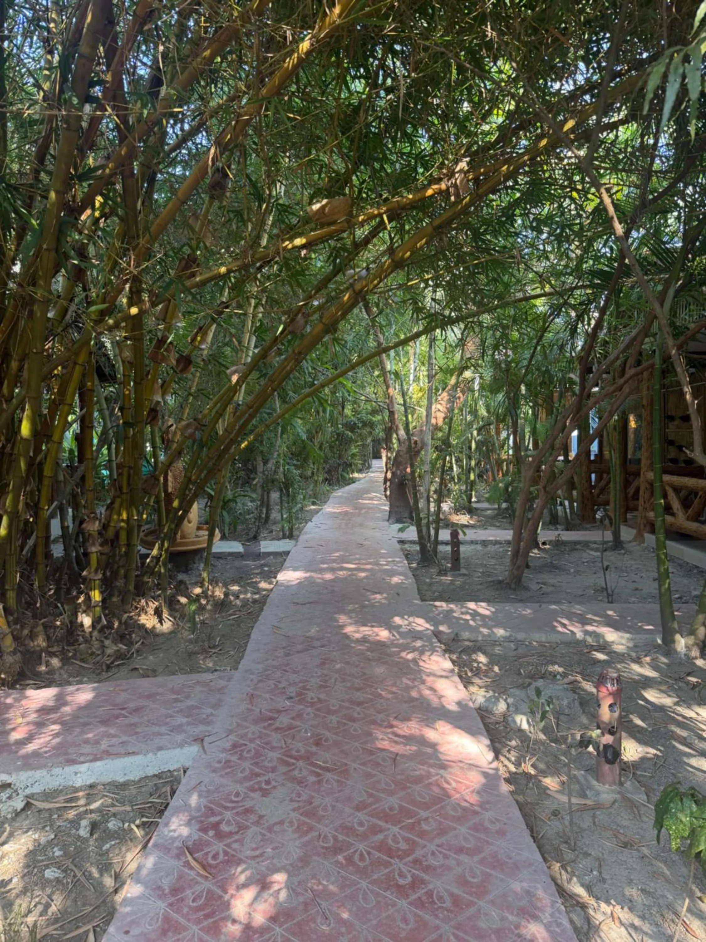Natural landscape in Havelock Farms Resort