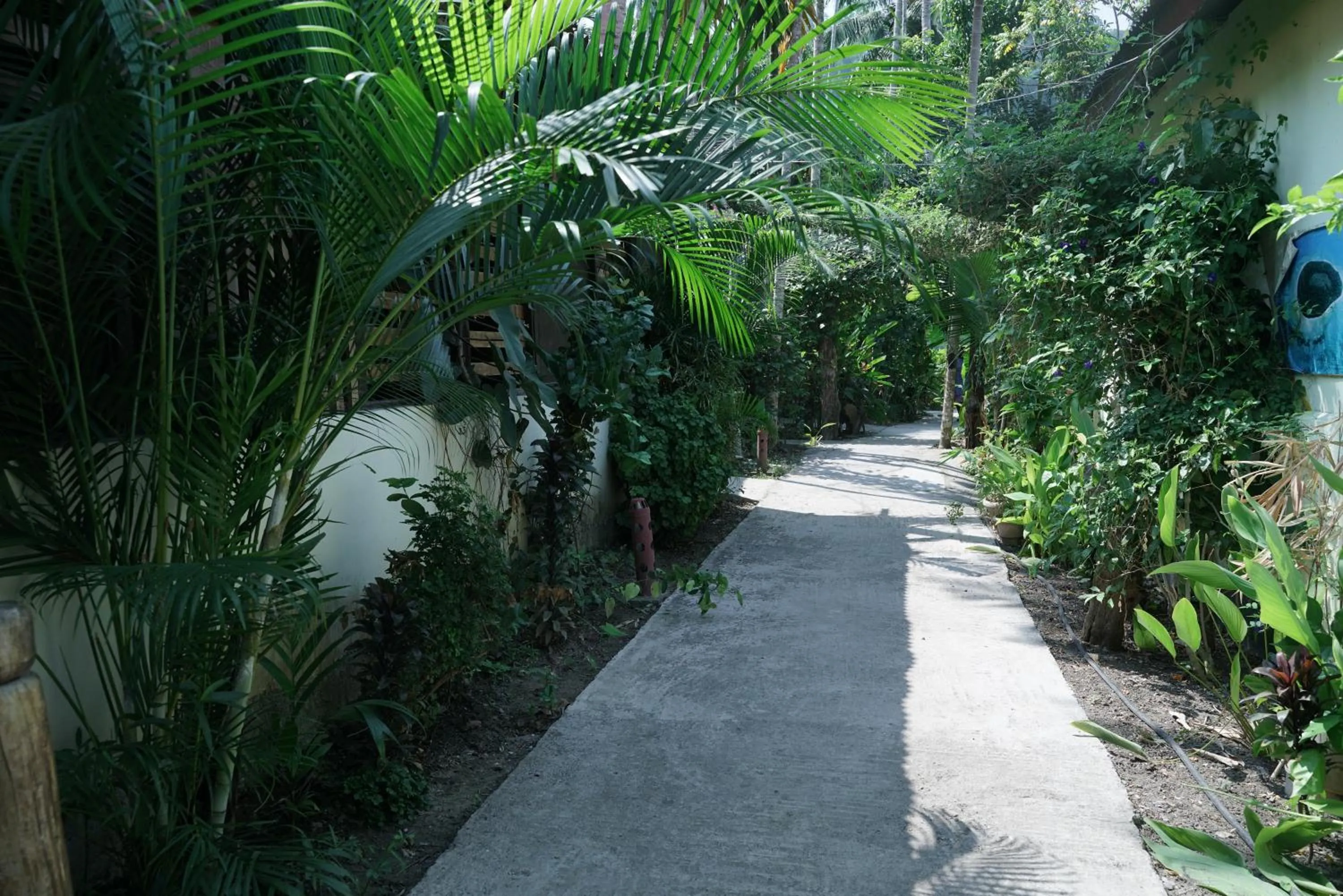 Natural landscape in Havelock Farms Resort