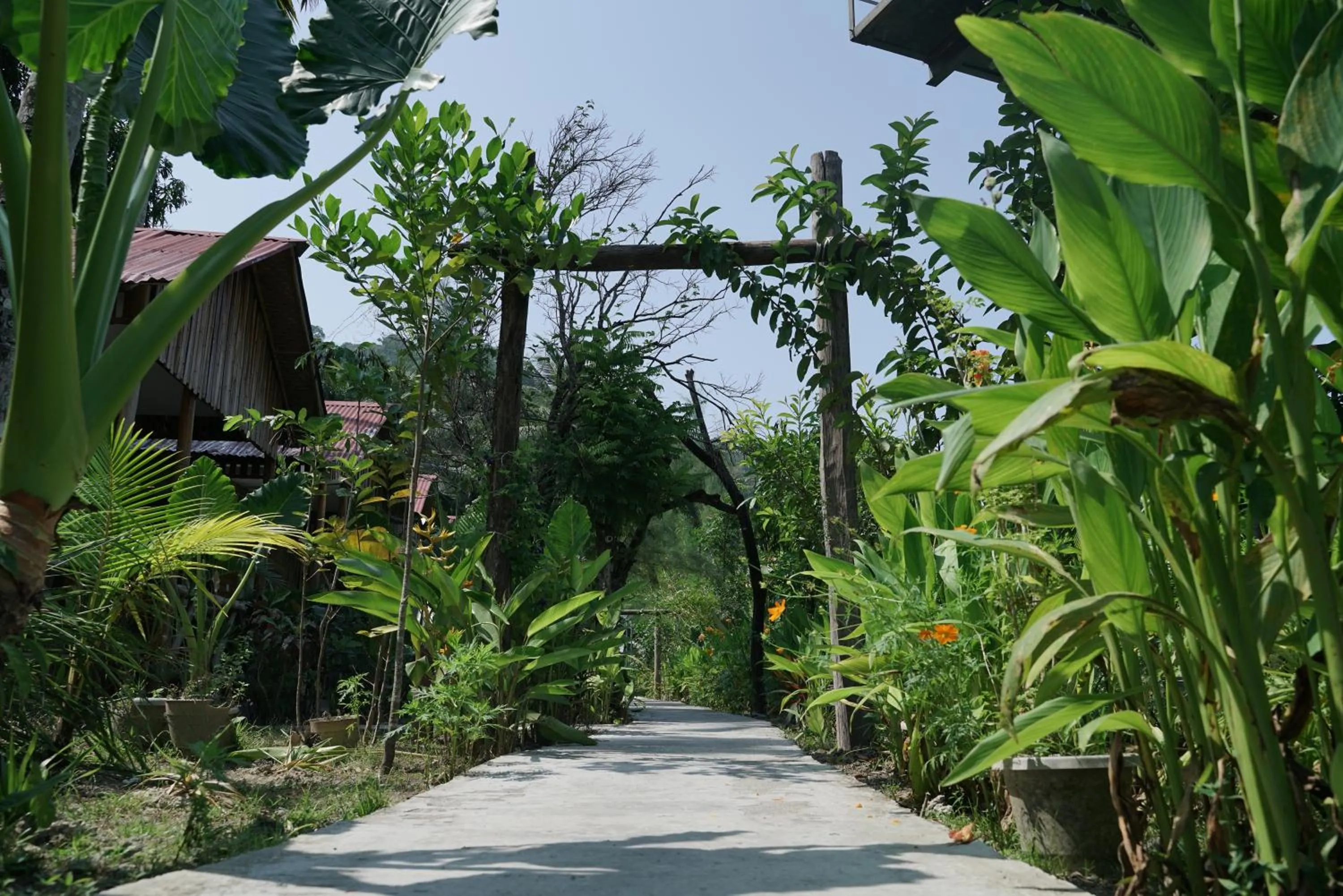 Day in Havelock Farms Resort