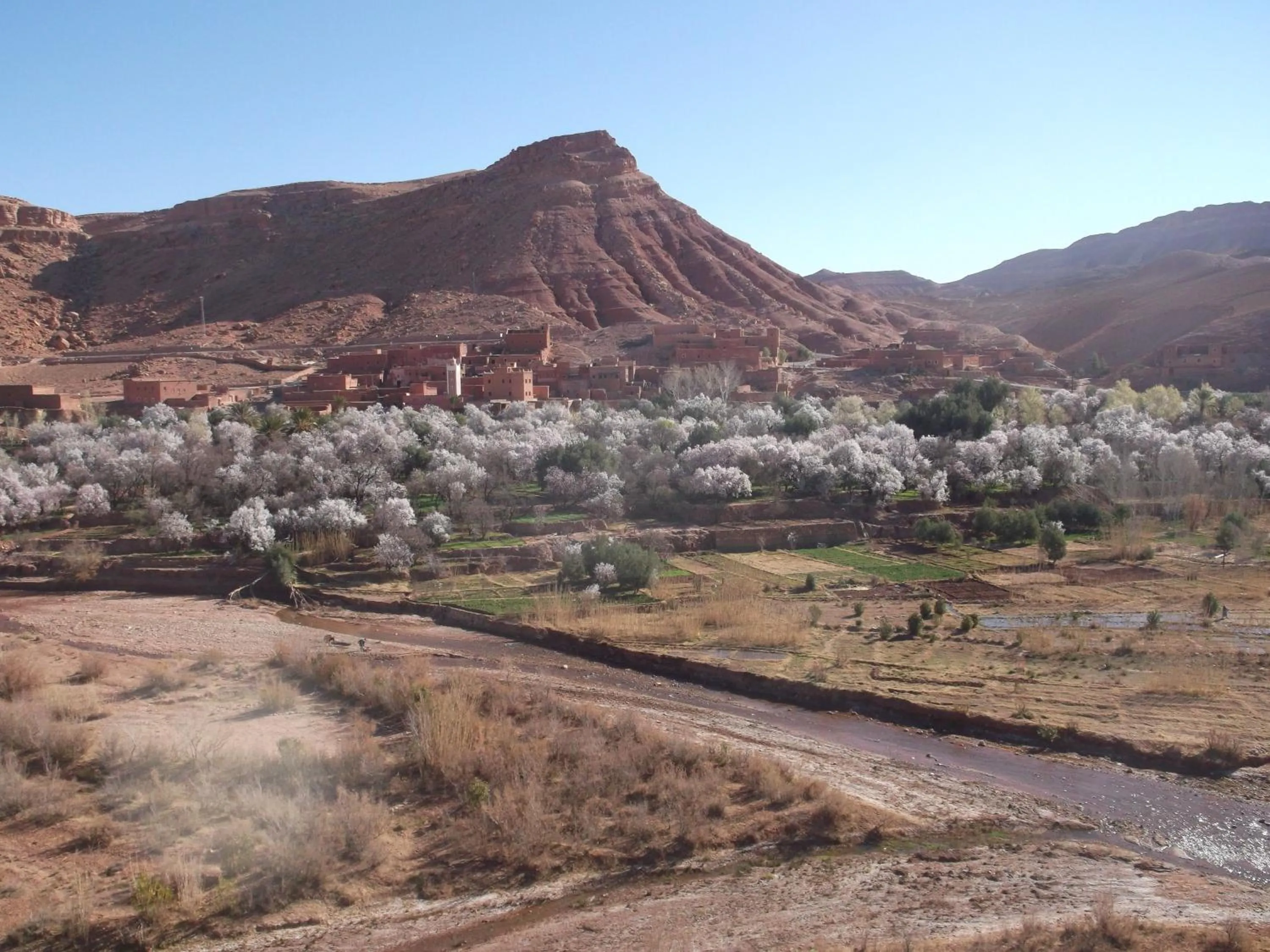 Garden in Kasbah Ounila