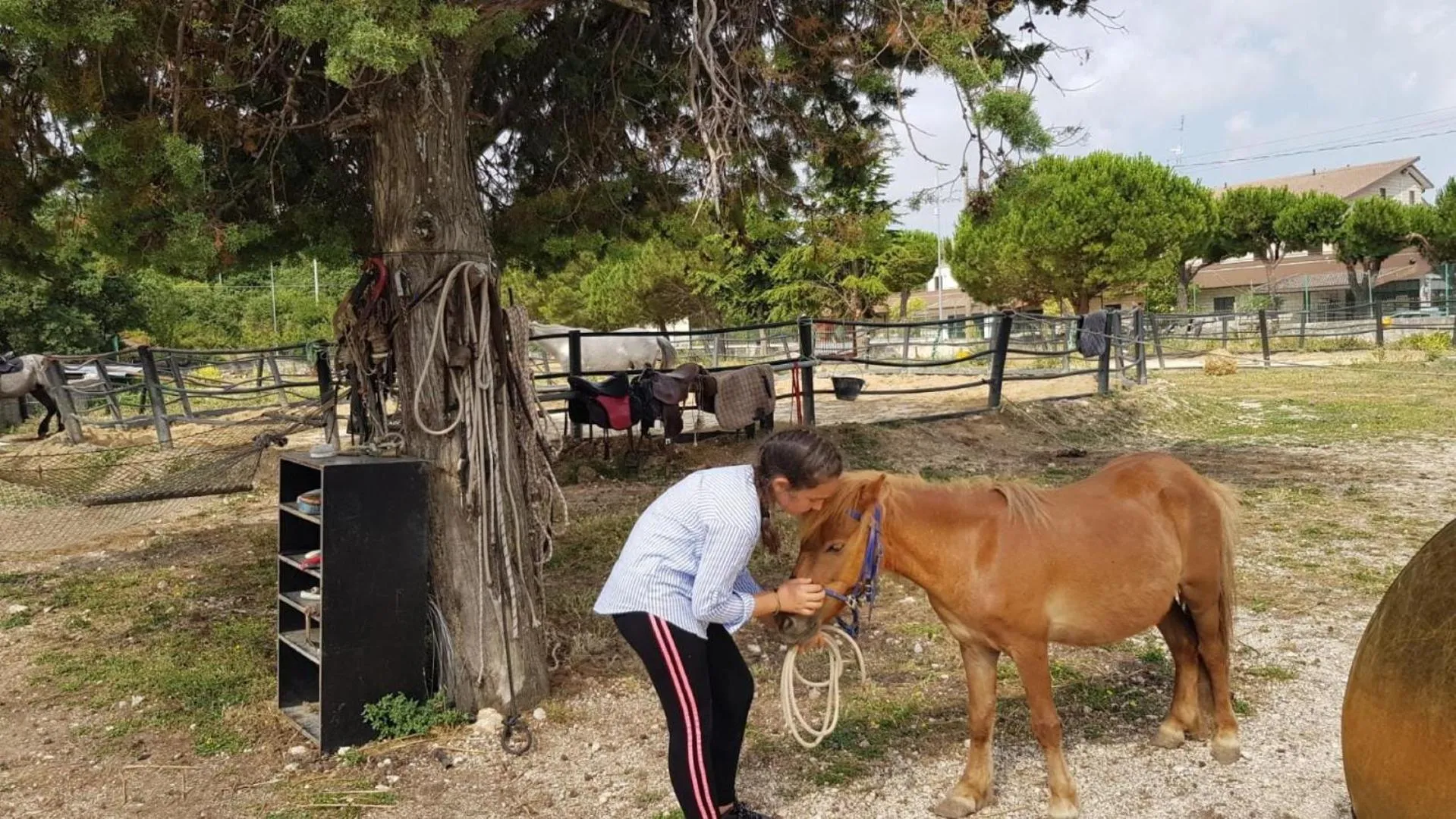 Horse-riding in B&B Home Sweet Home - Affitti Brevi Italia