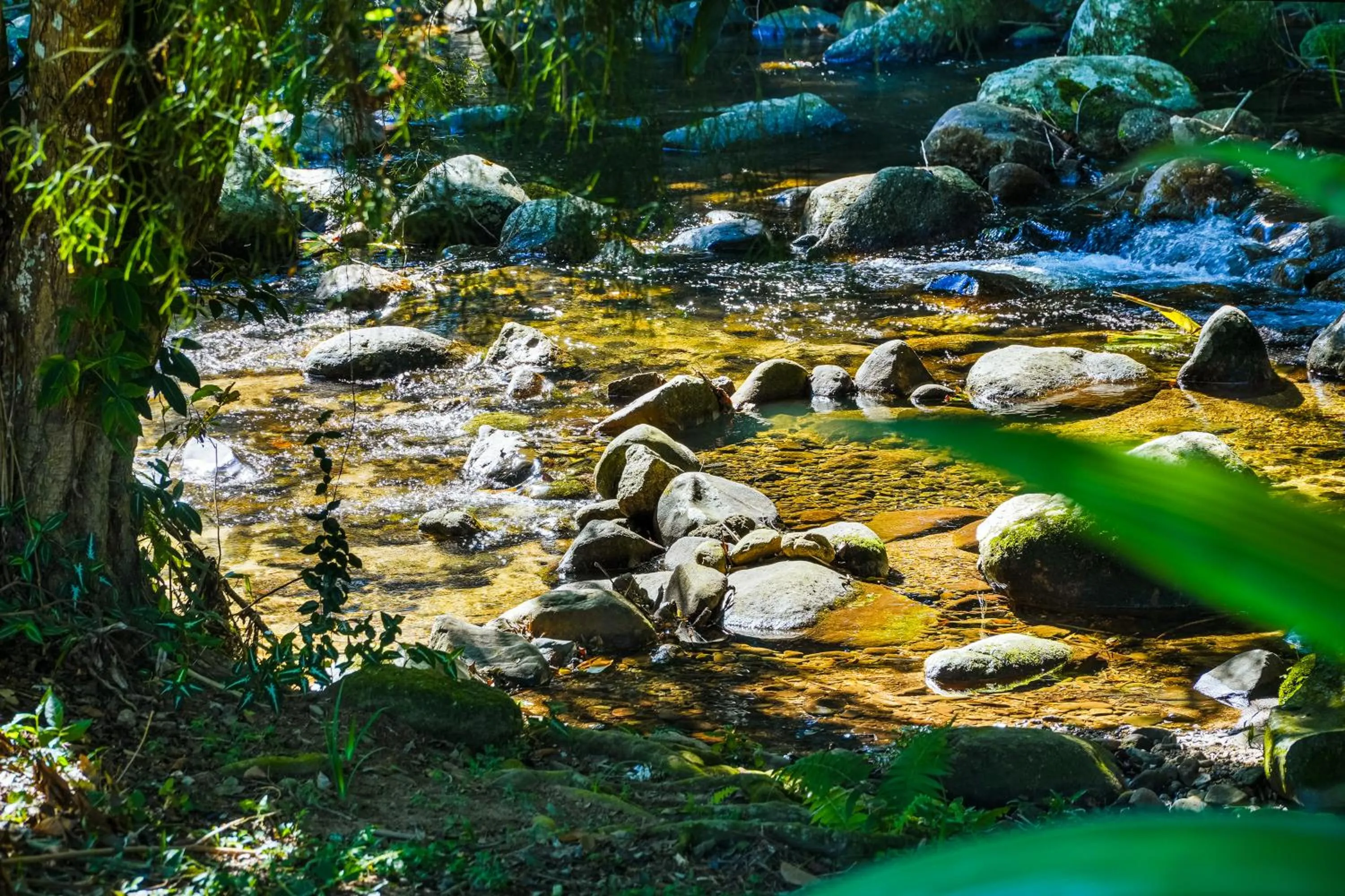 Day in VELINN Pousada Bromelias