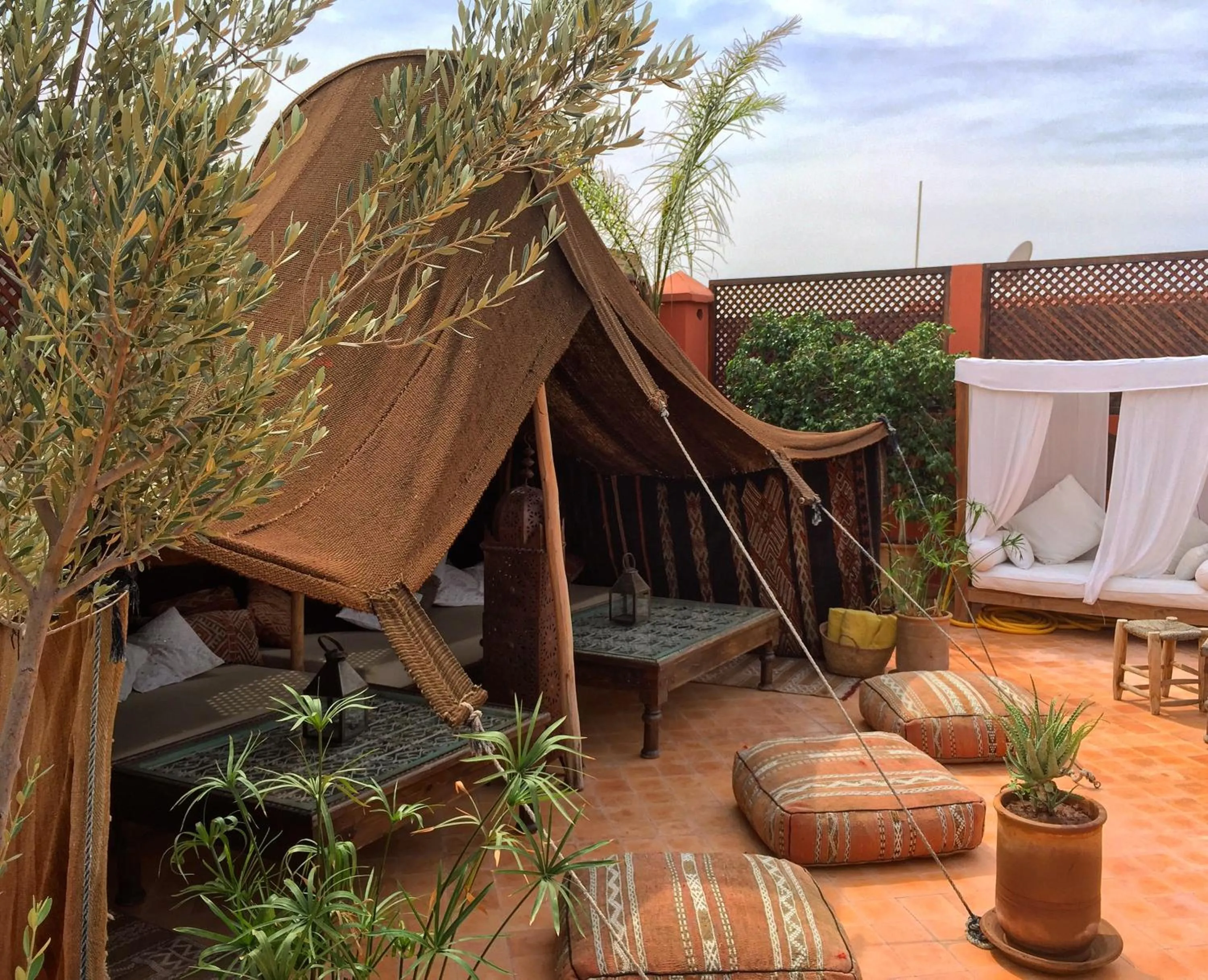 Garden view in Riad Palacio De Las Especias