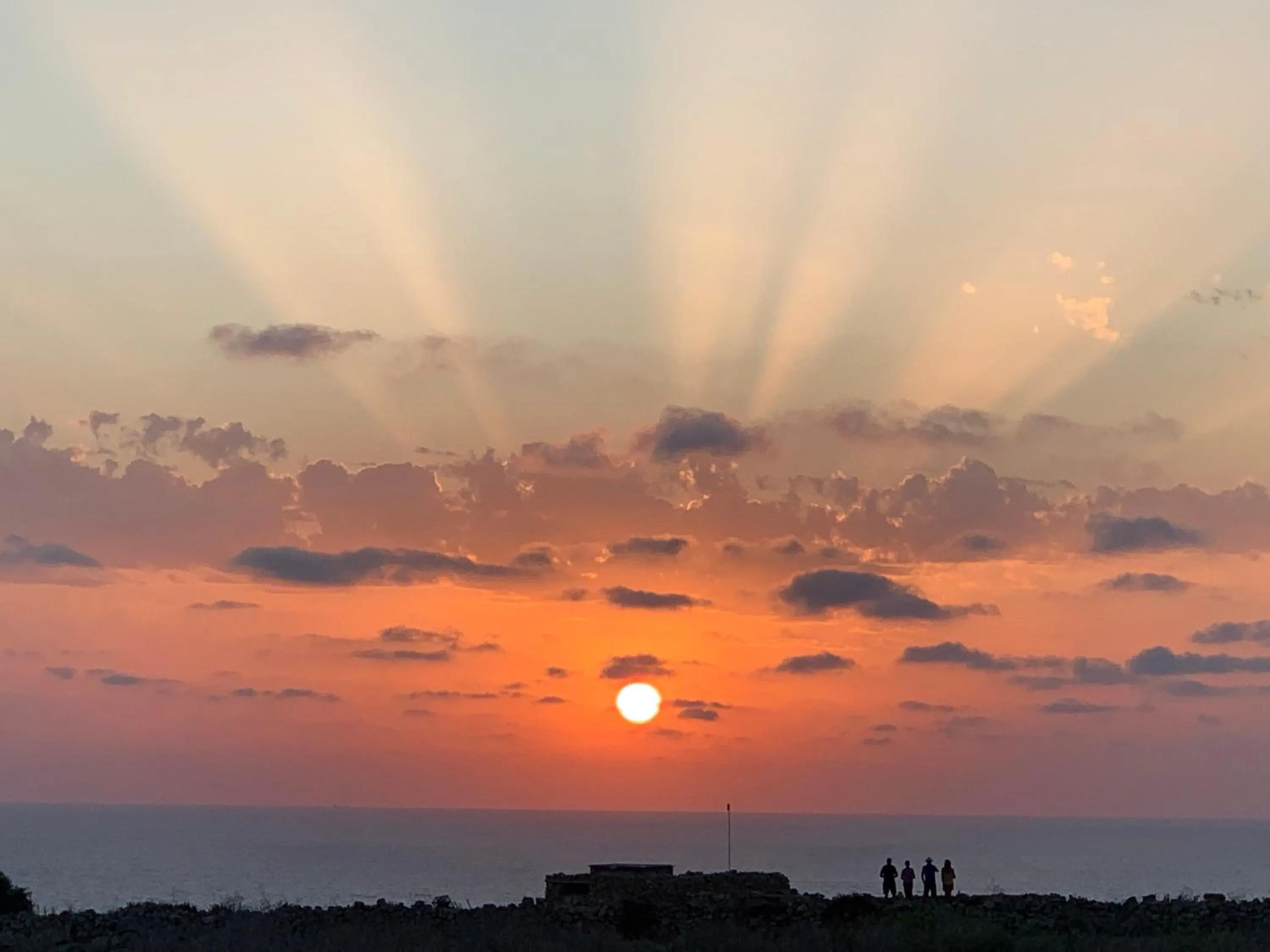 Natural landscape in Fiftyfour West Boutique Living