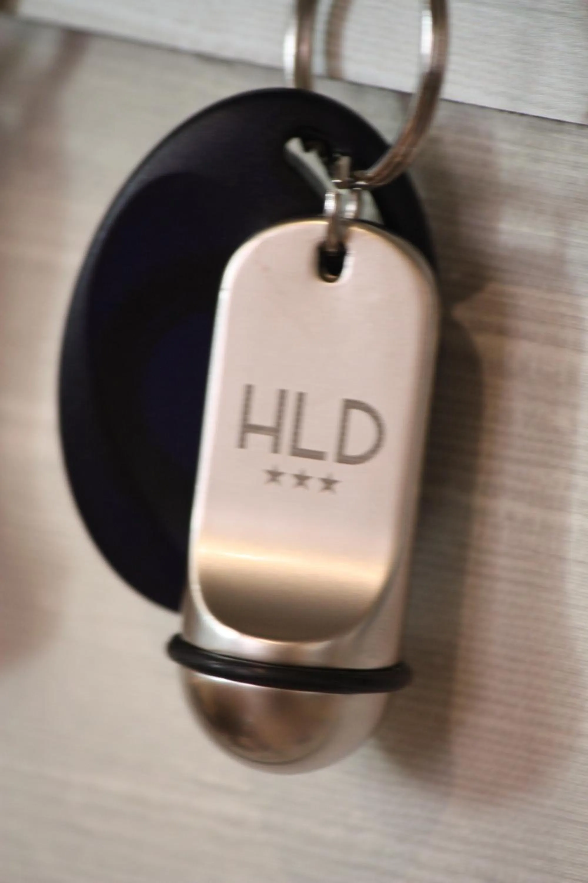 Property logo or sign in Hotel Dauphin