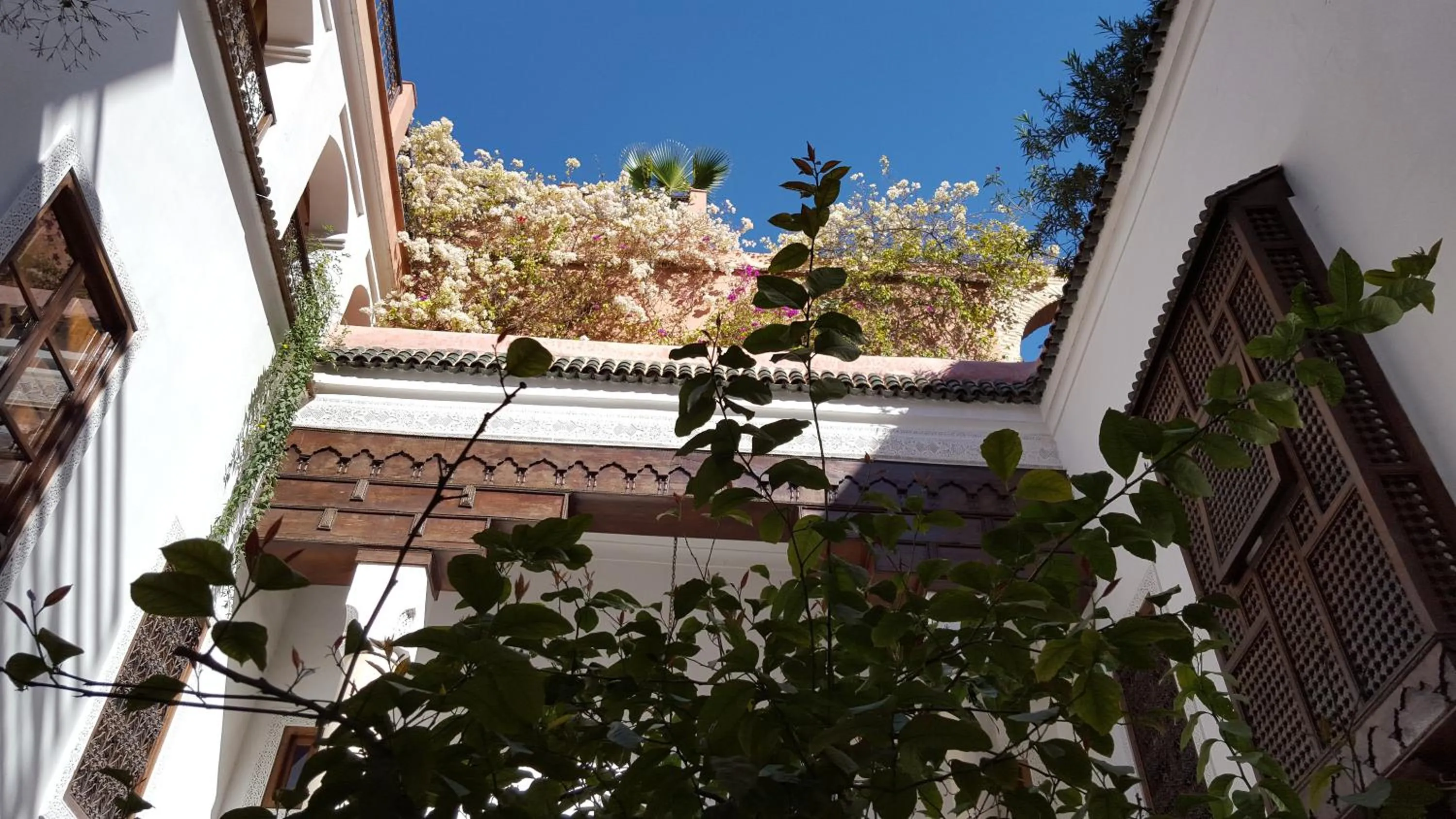 Garden view in Riad Marélia