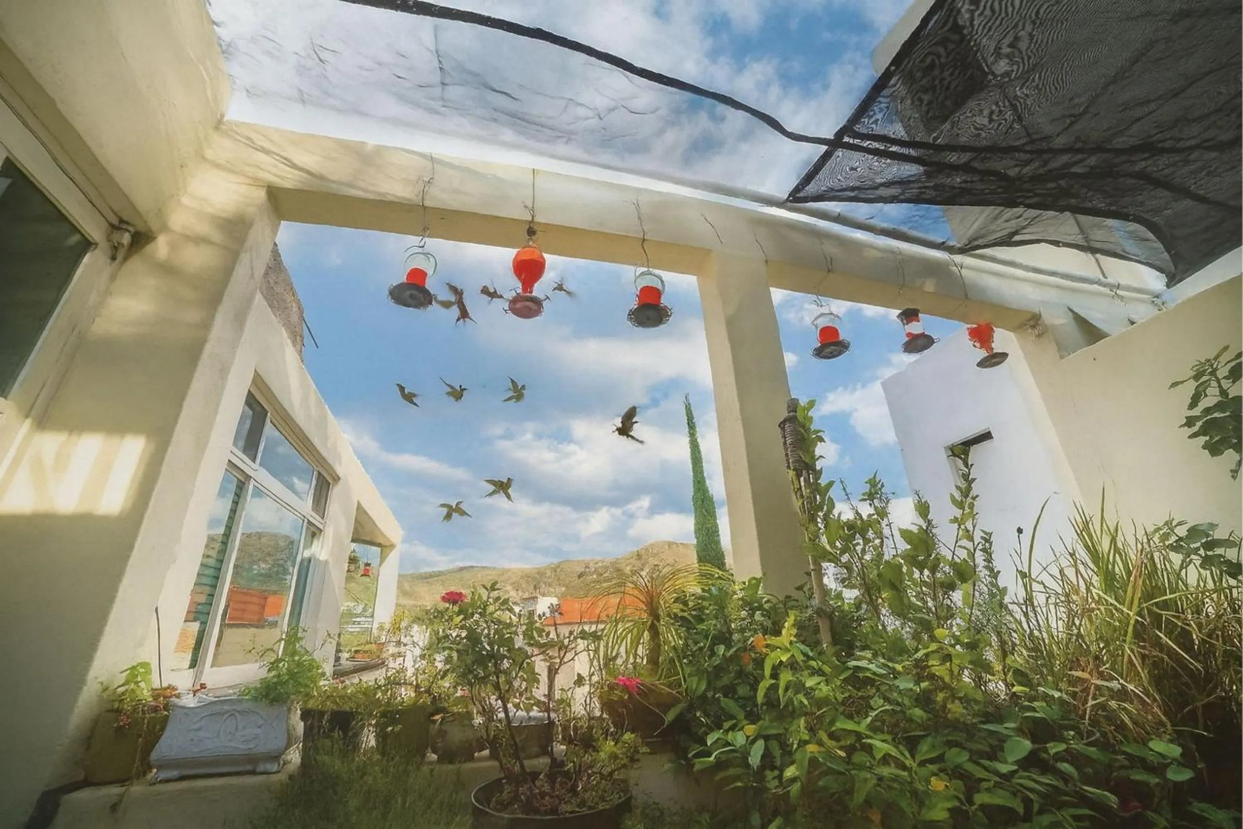 View (from property/room) in Casa Santa Fe