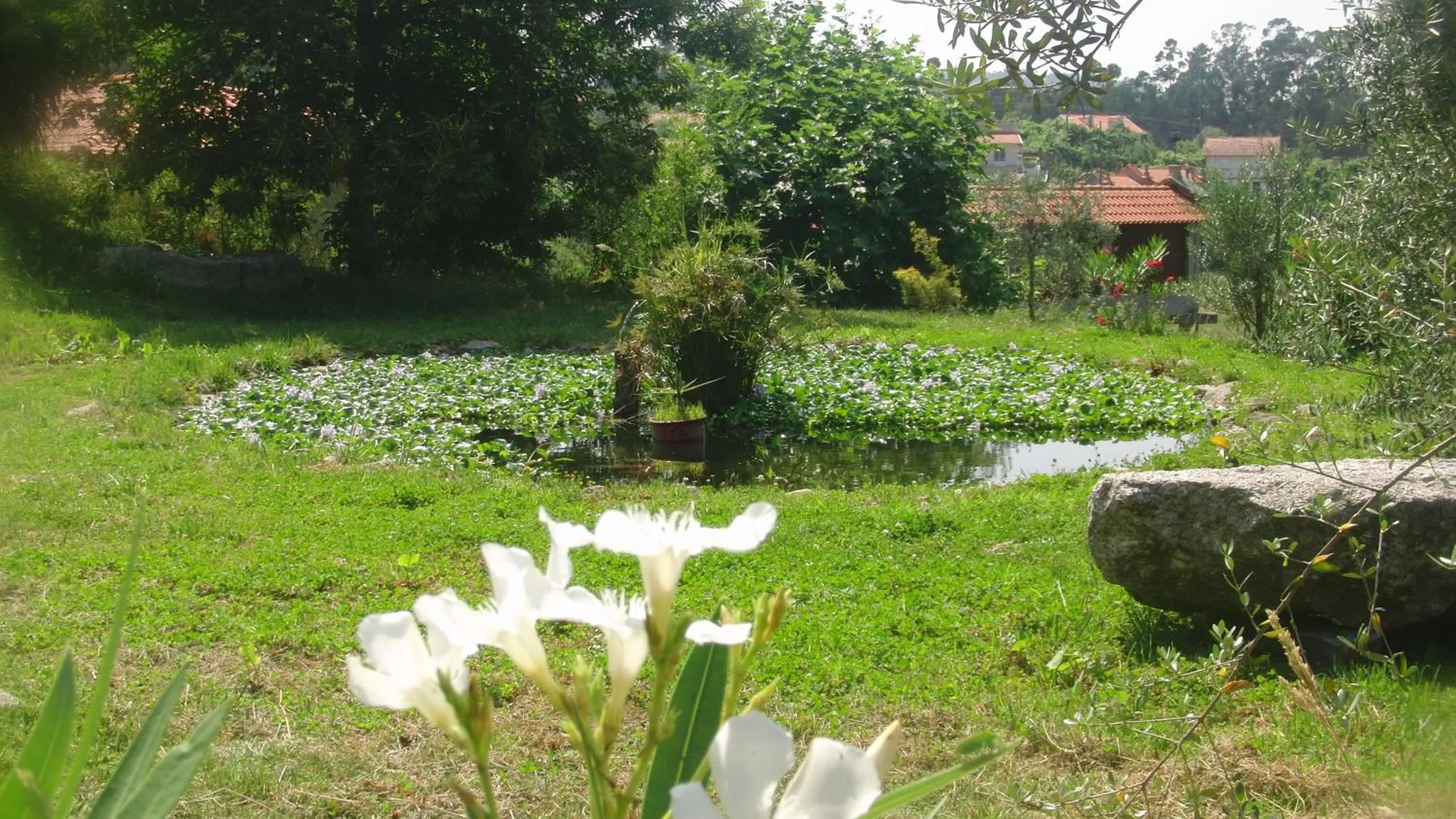 Lake view in Quinta do Riacho