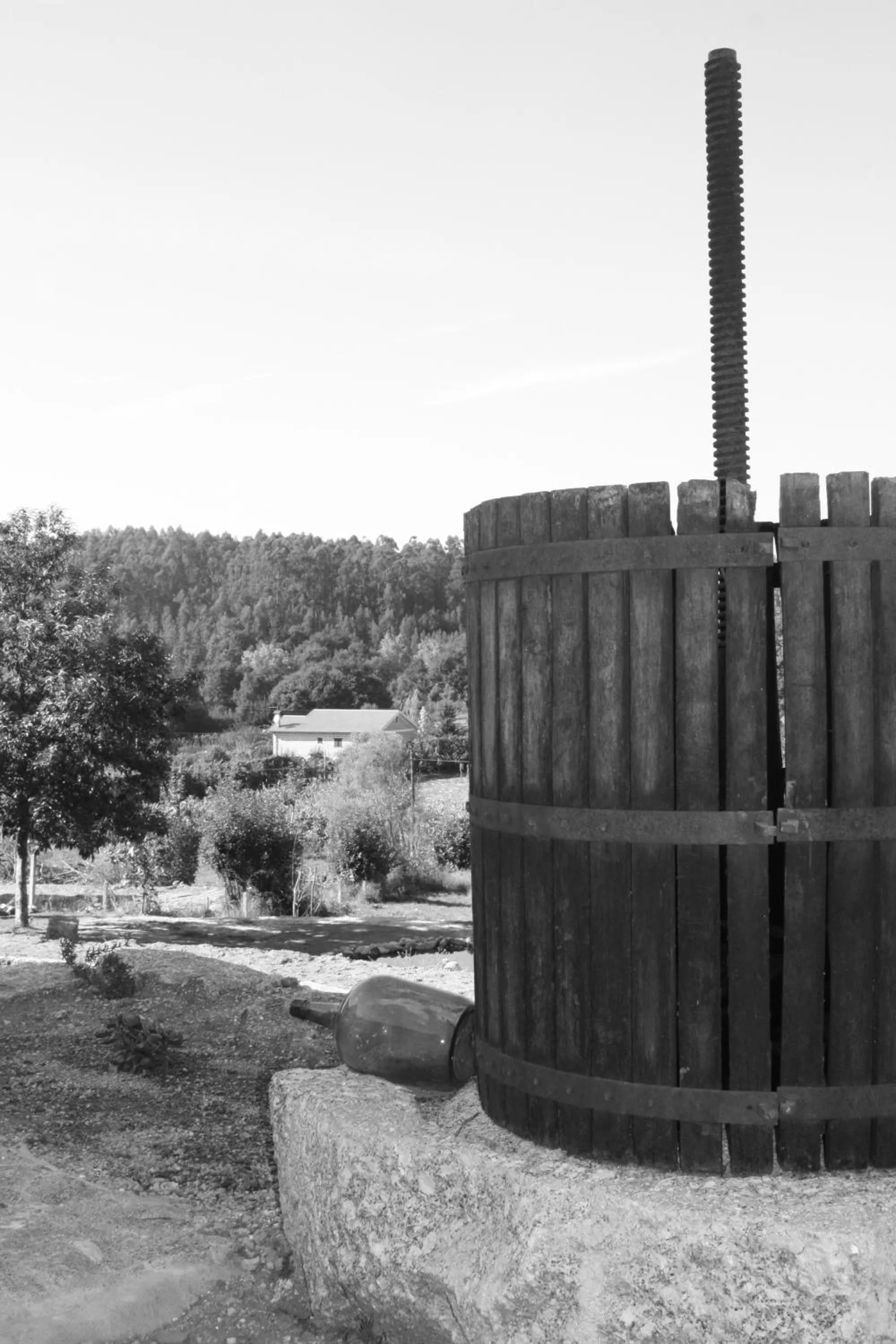 Decorative detail in Quinta do Riacho