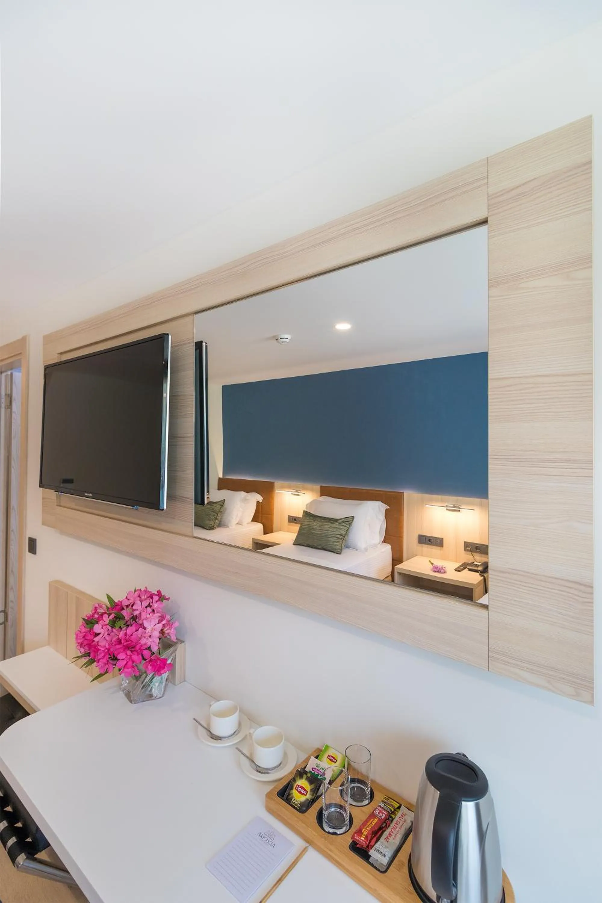 TV and multimedia in AMOSSİA Elite Boutique Hotel