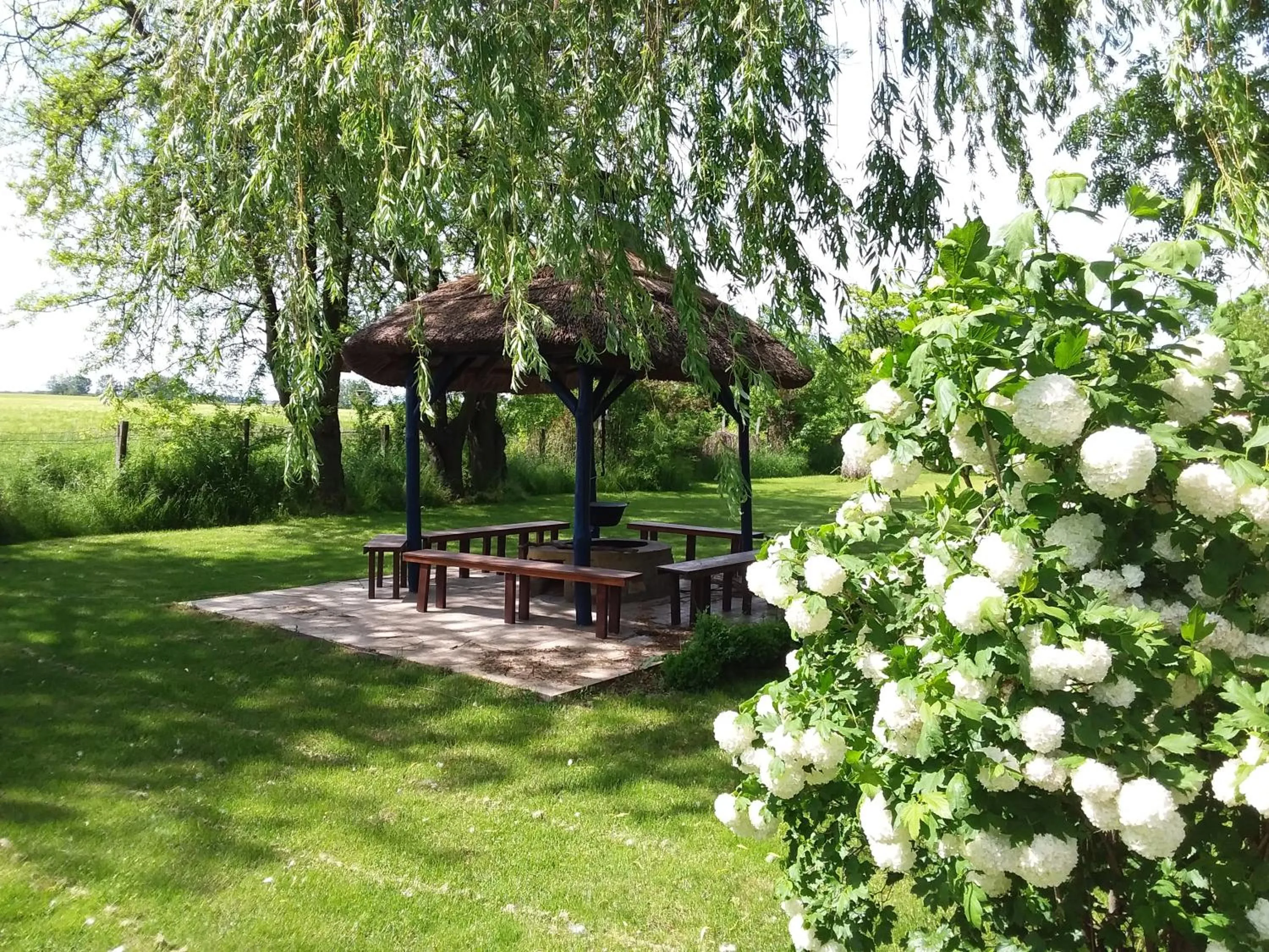 Garden in Herberg Tisza