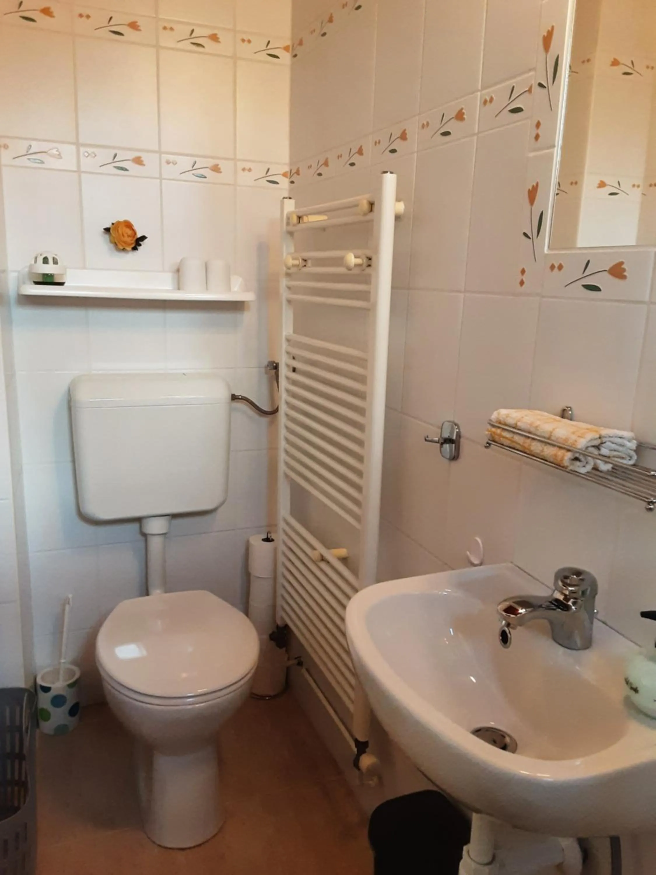 Bathroom in Herberg Tisza