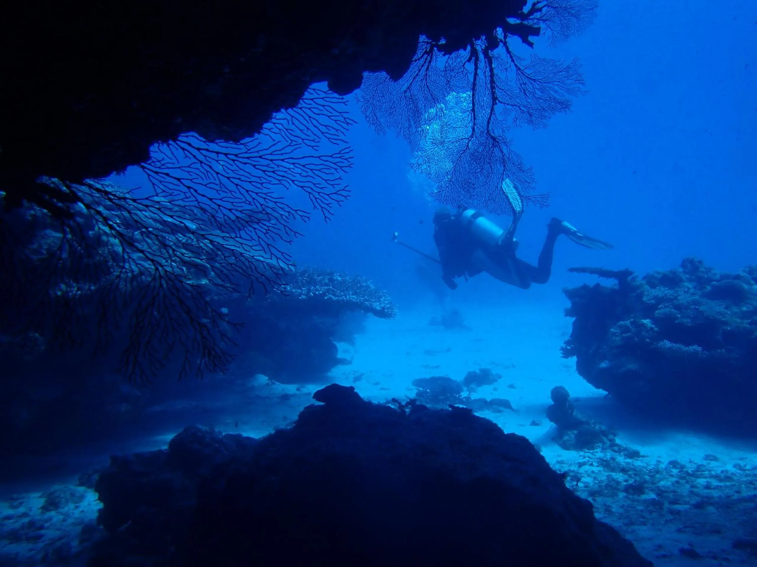 Diving in Tranquility Island Eco Dive Resort