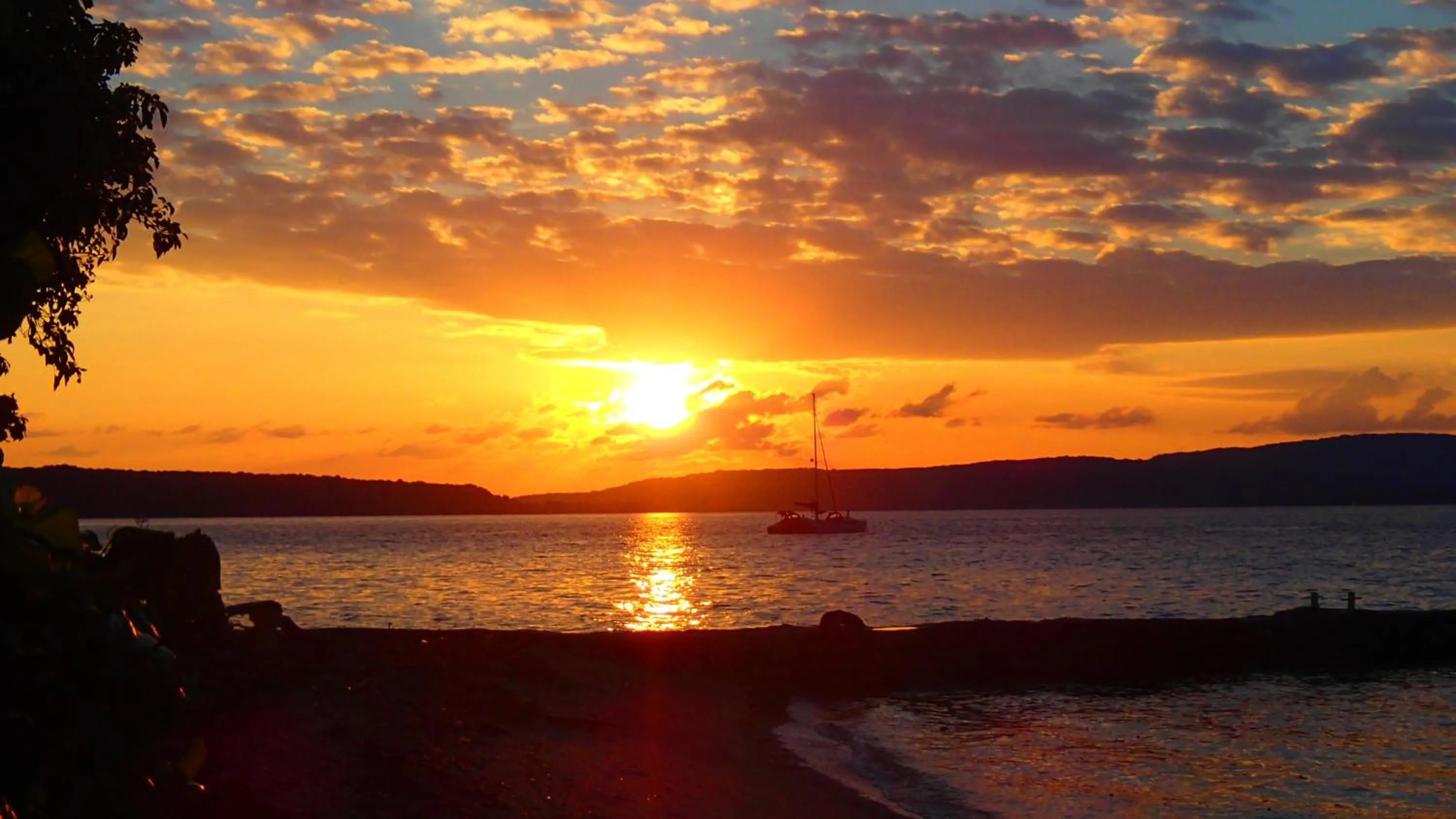 Beach in Tranquility Island Eco Dive Resort