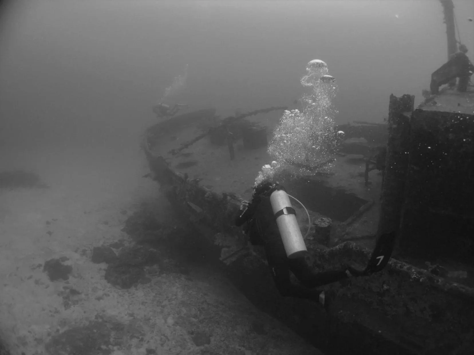 Area and facilities in Tranquility Island Eco Dive Resort