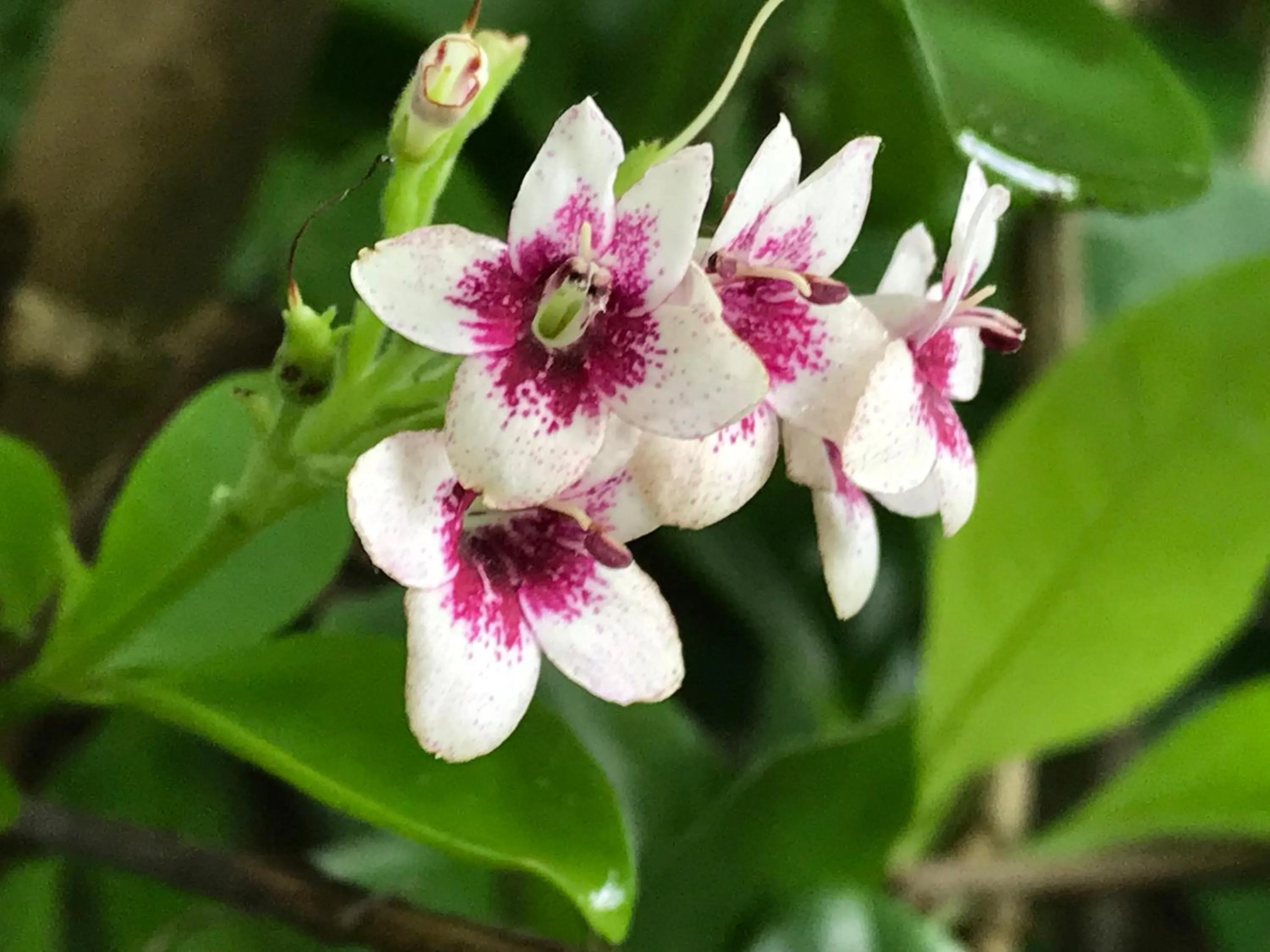 Activities in Tranquility Island Eco Dive Resort