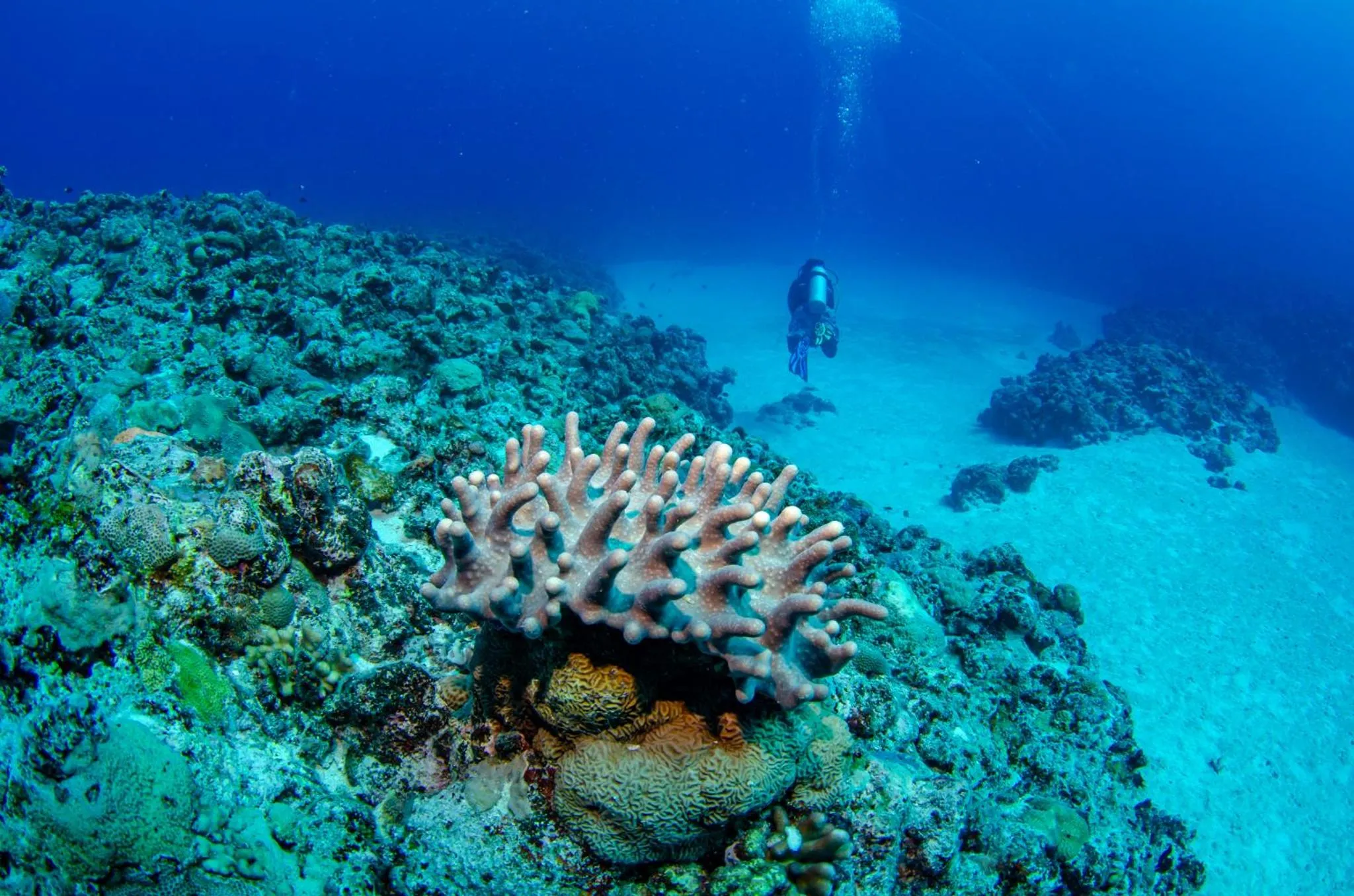 Activities in Tranquility Island Eco Dive Resort
