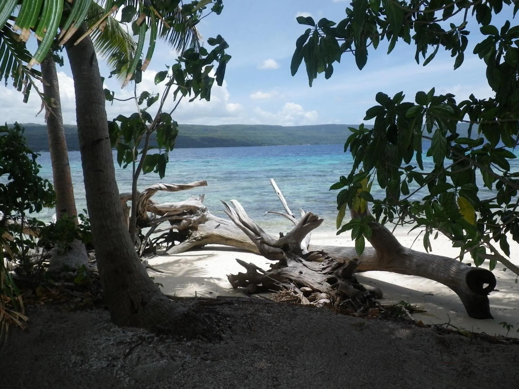 Beach in Tranquility Island Eco Dive Resort