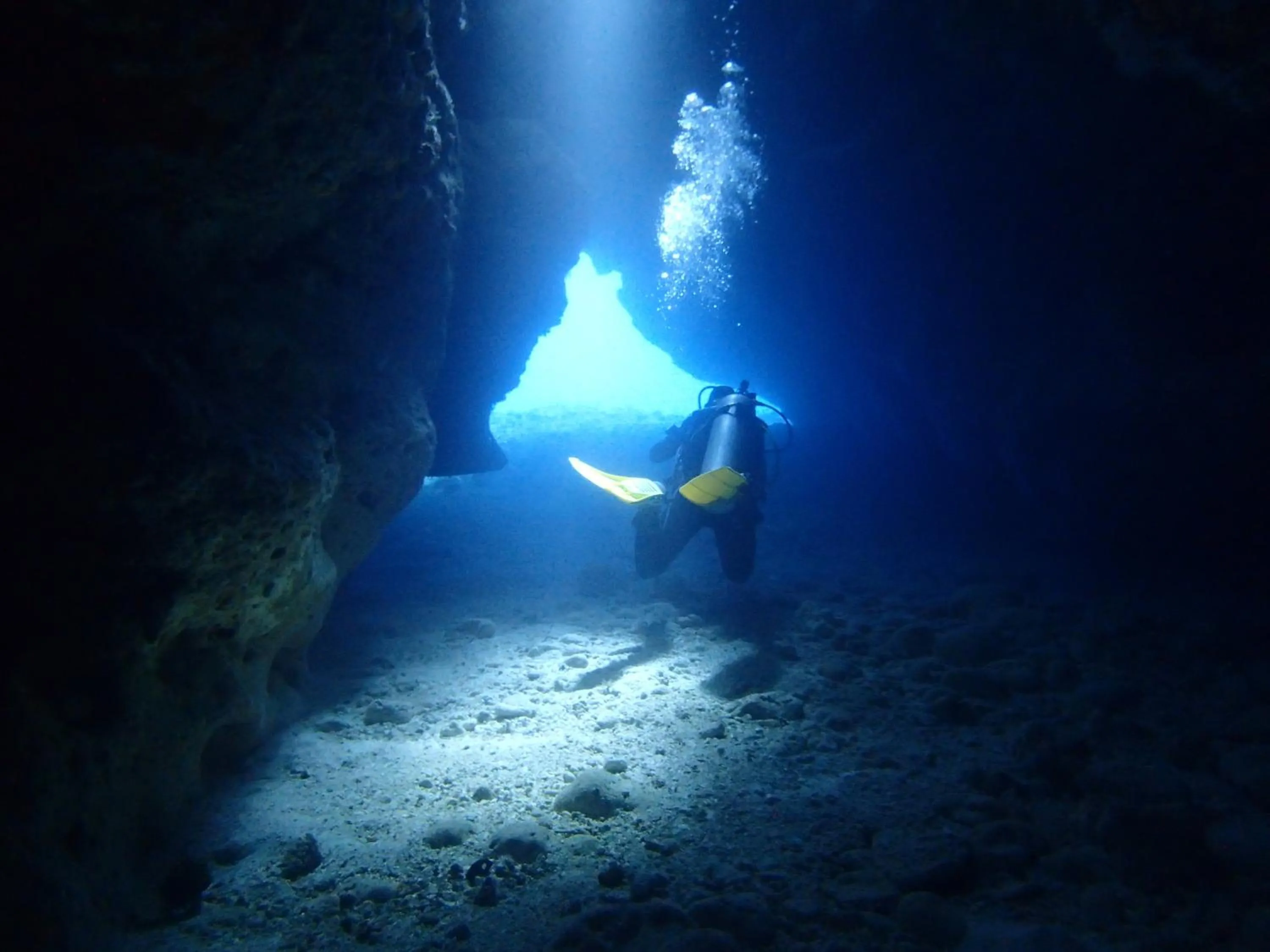 Diving in Tranquility Island Eco Dive Resort