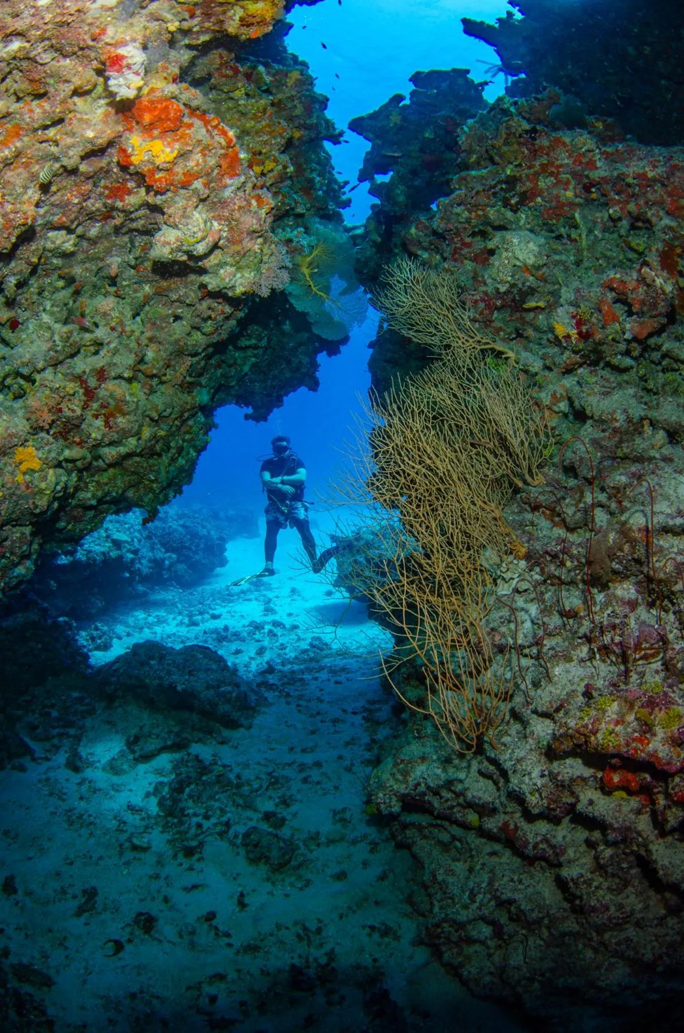 Activities in Tranquility Island Eco Dive Resort