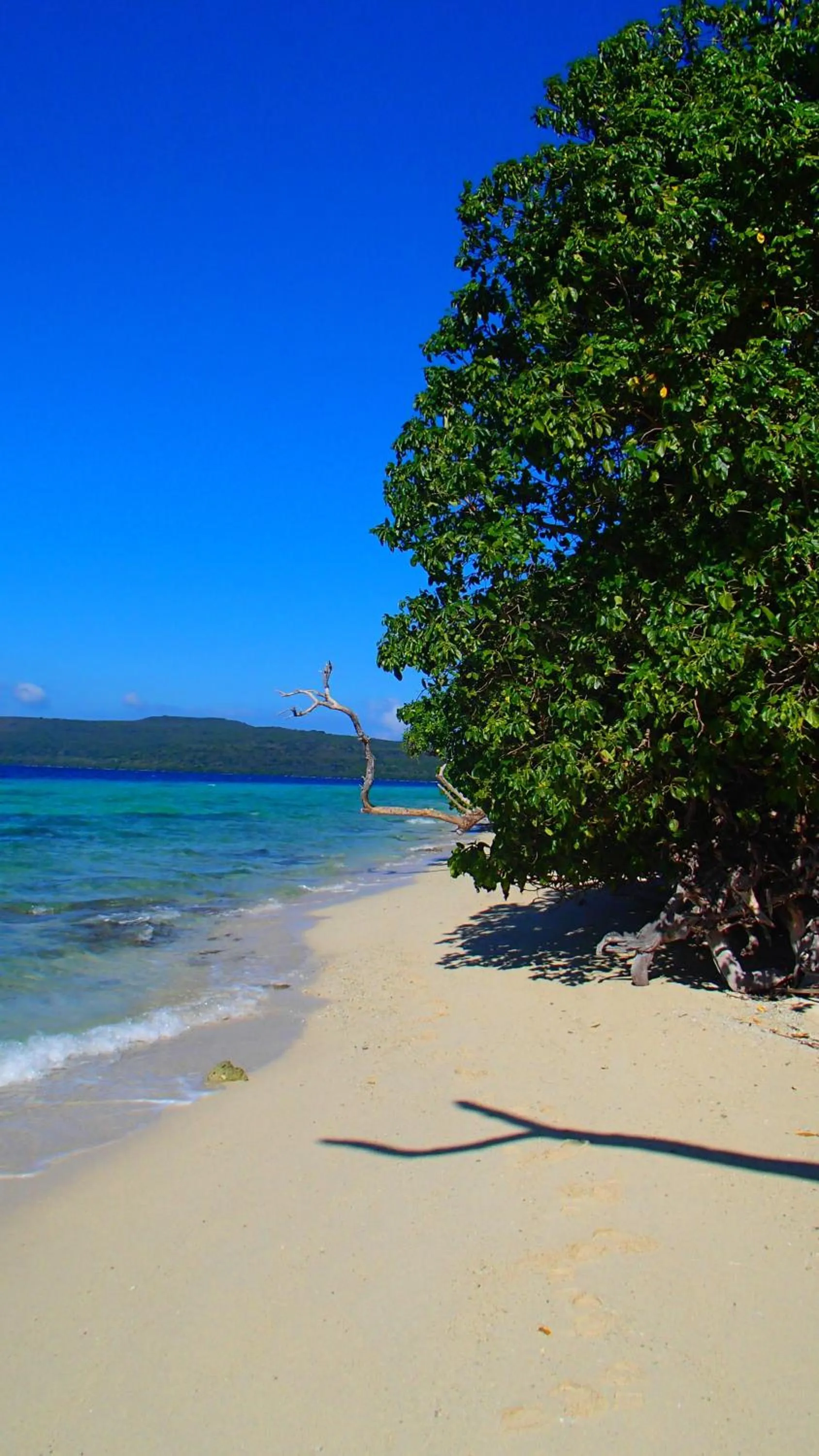View (from property/room) in Tranquility Island Eco Dive Resort