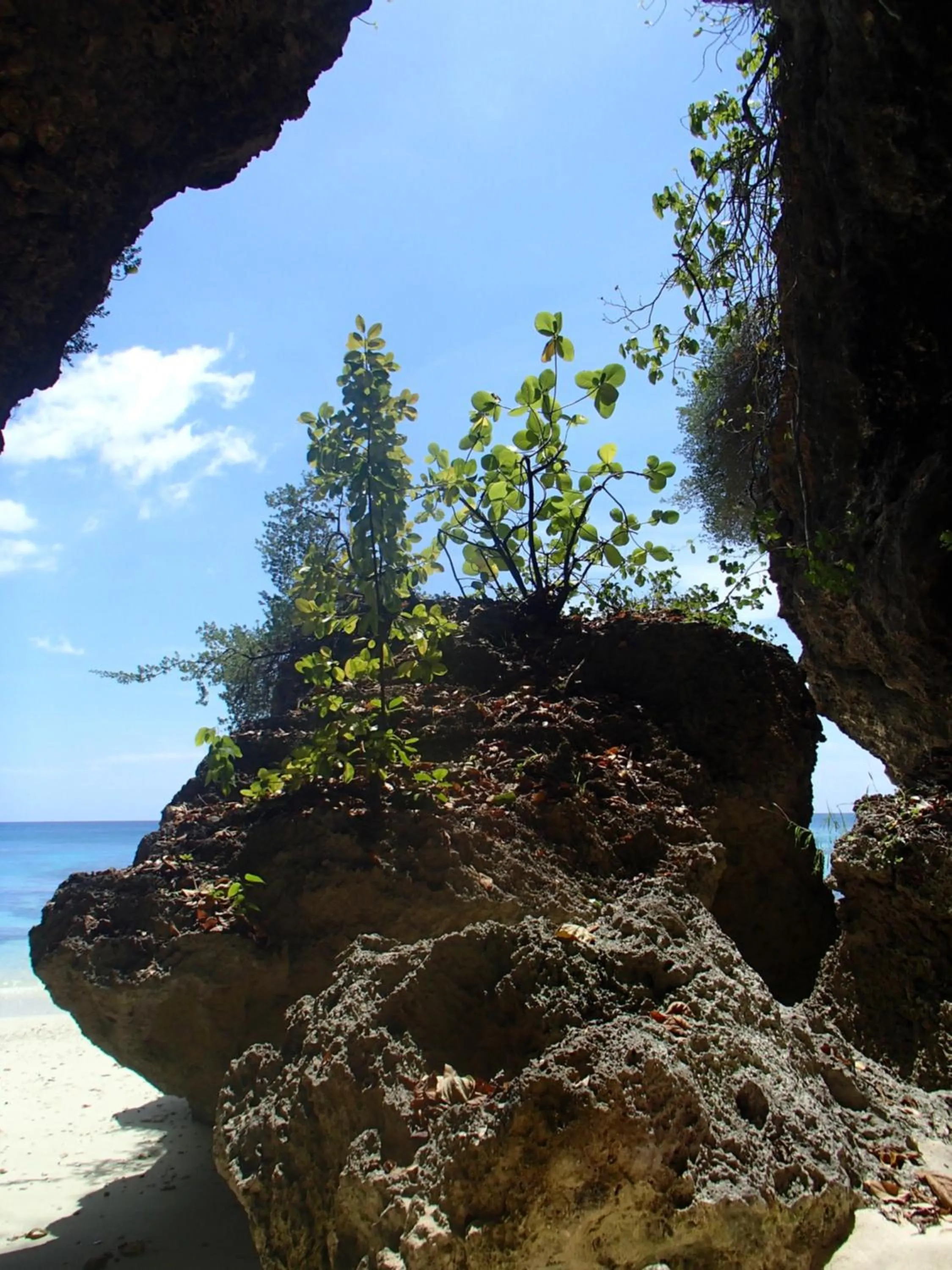 Beach in Tranquility Island Eco Dive Resort