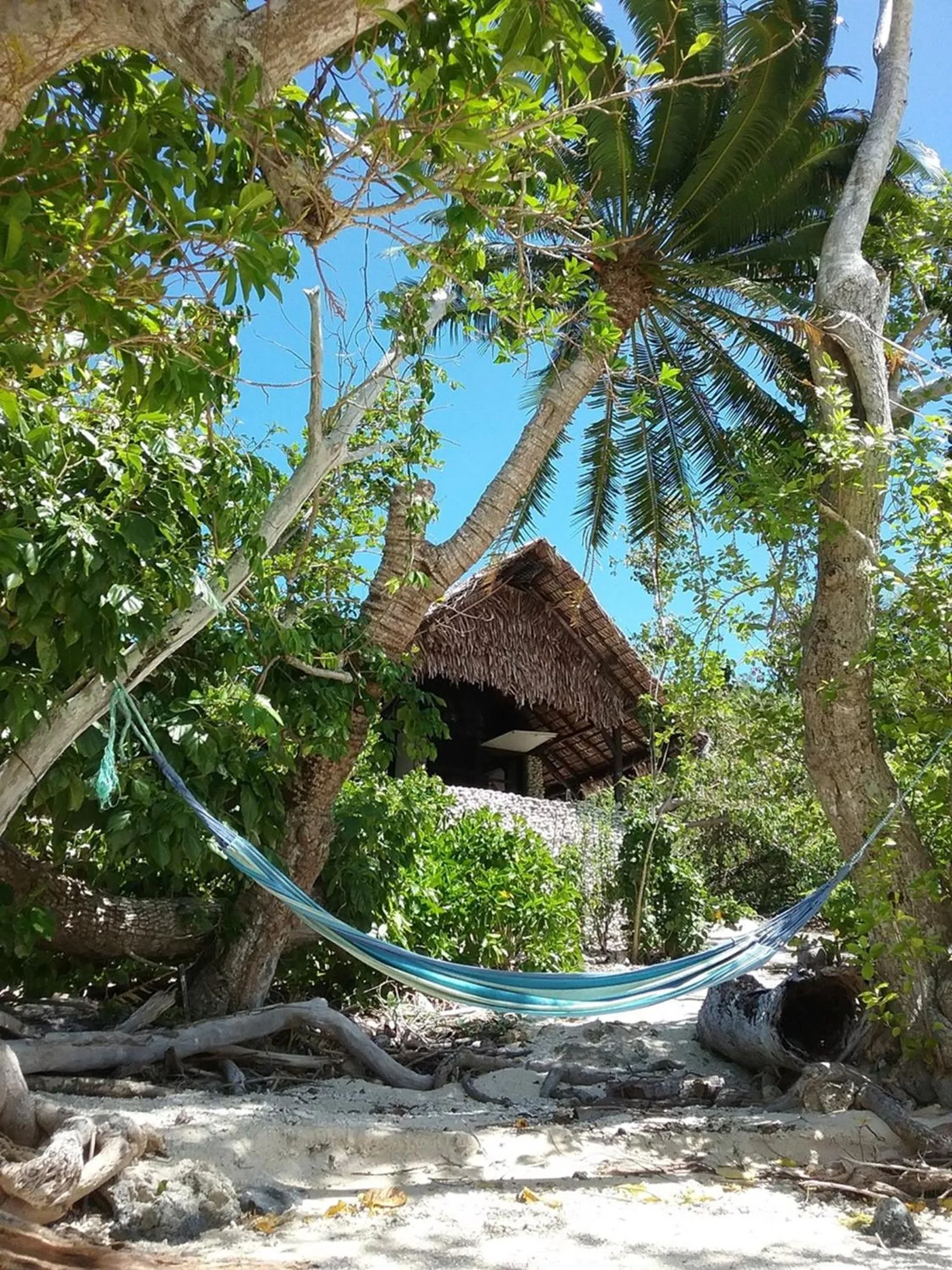 Garden in Tranquility Island Eco Dive Resort