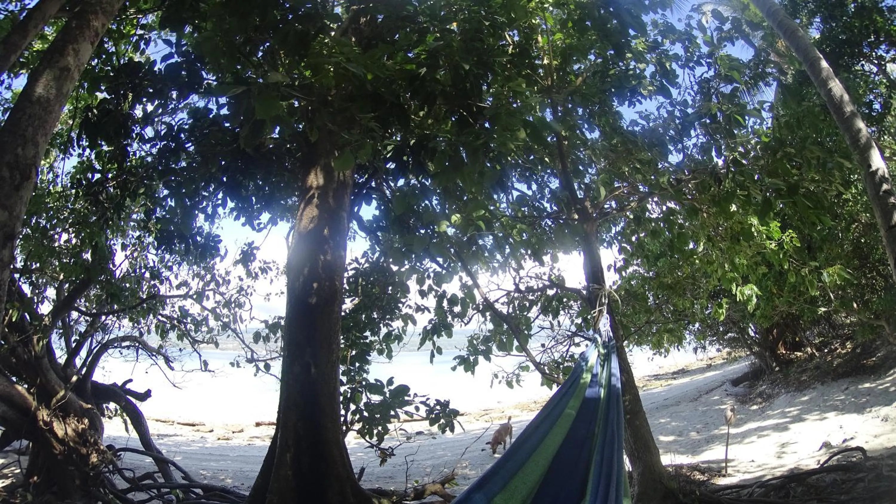 View (from property/room) in Tranquility Island Eco Dive Resort