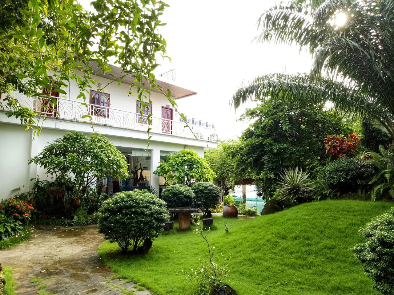 Natural landscape in Suncosy Central Hotel