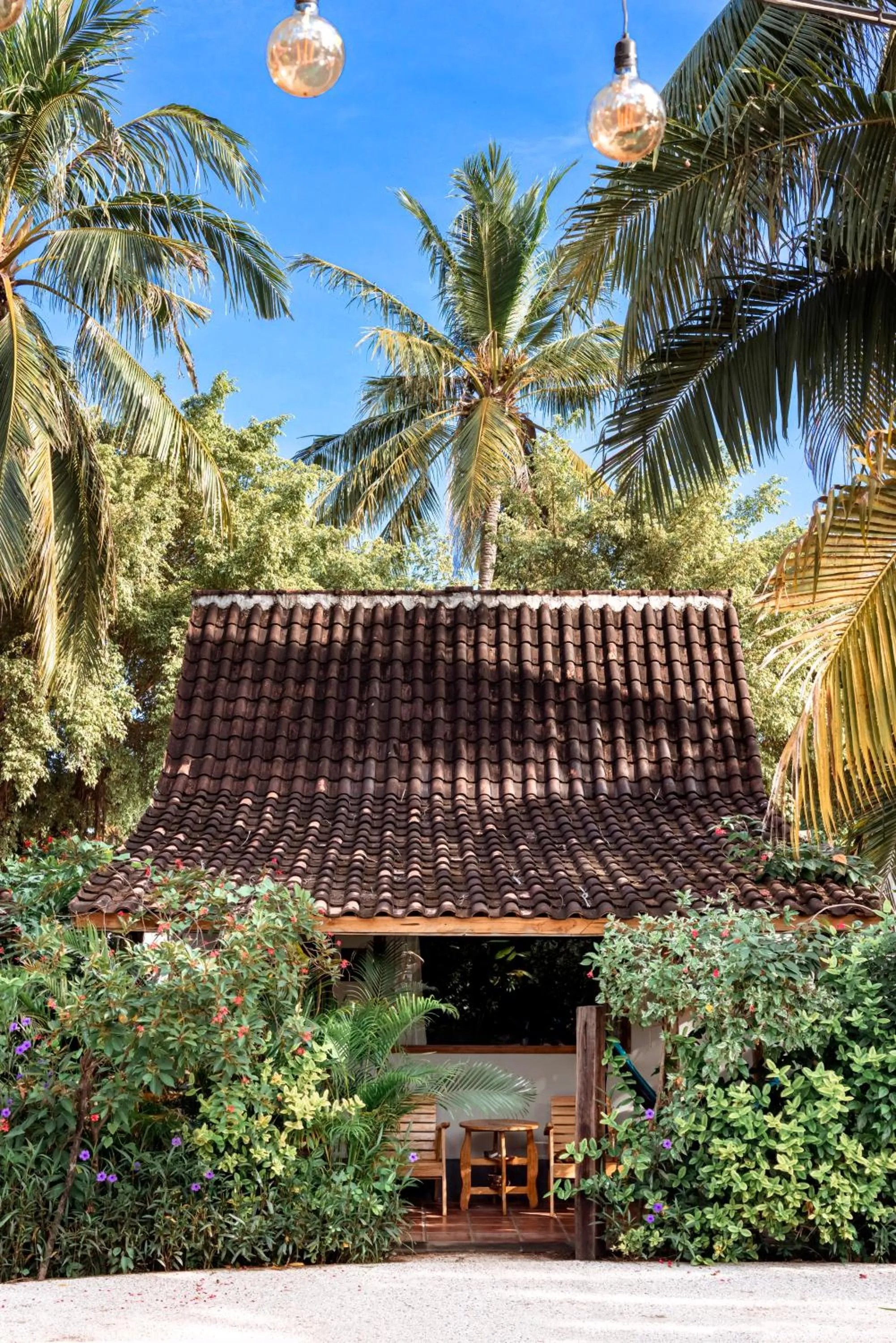 Patio in Coconut Garden Resort